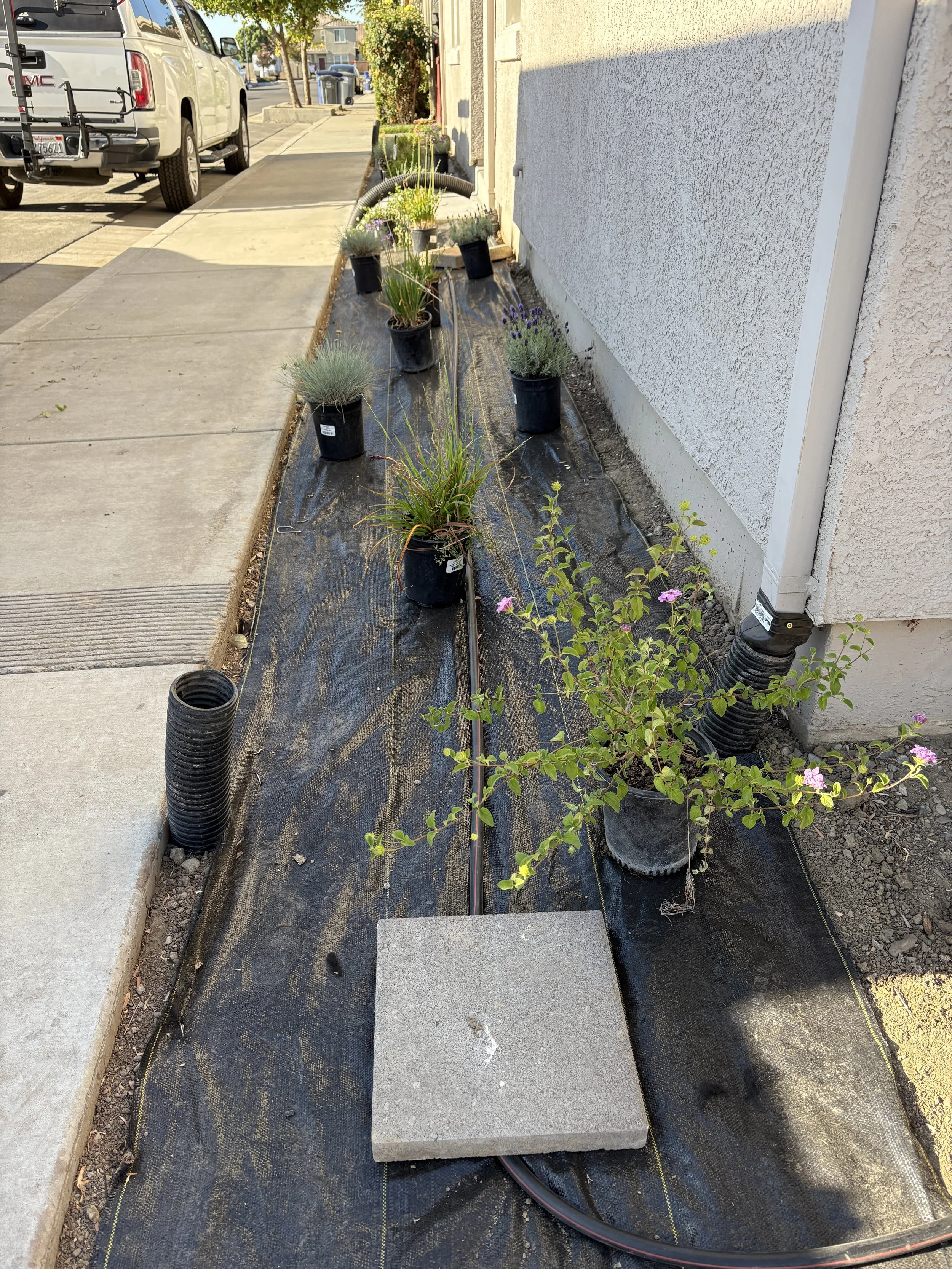 Potted plants along a house foundation with black drainage pipes, a sidewalk on the left, and a parked vehicle in the background.