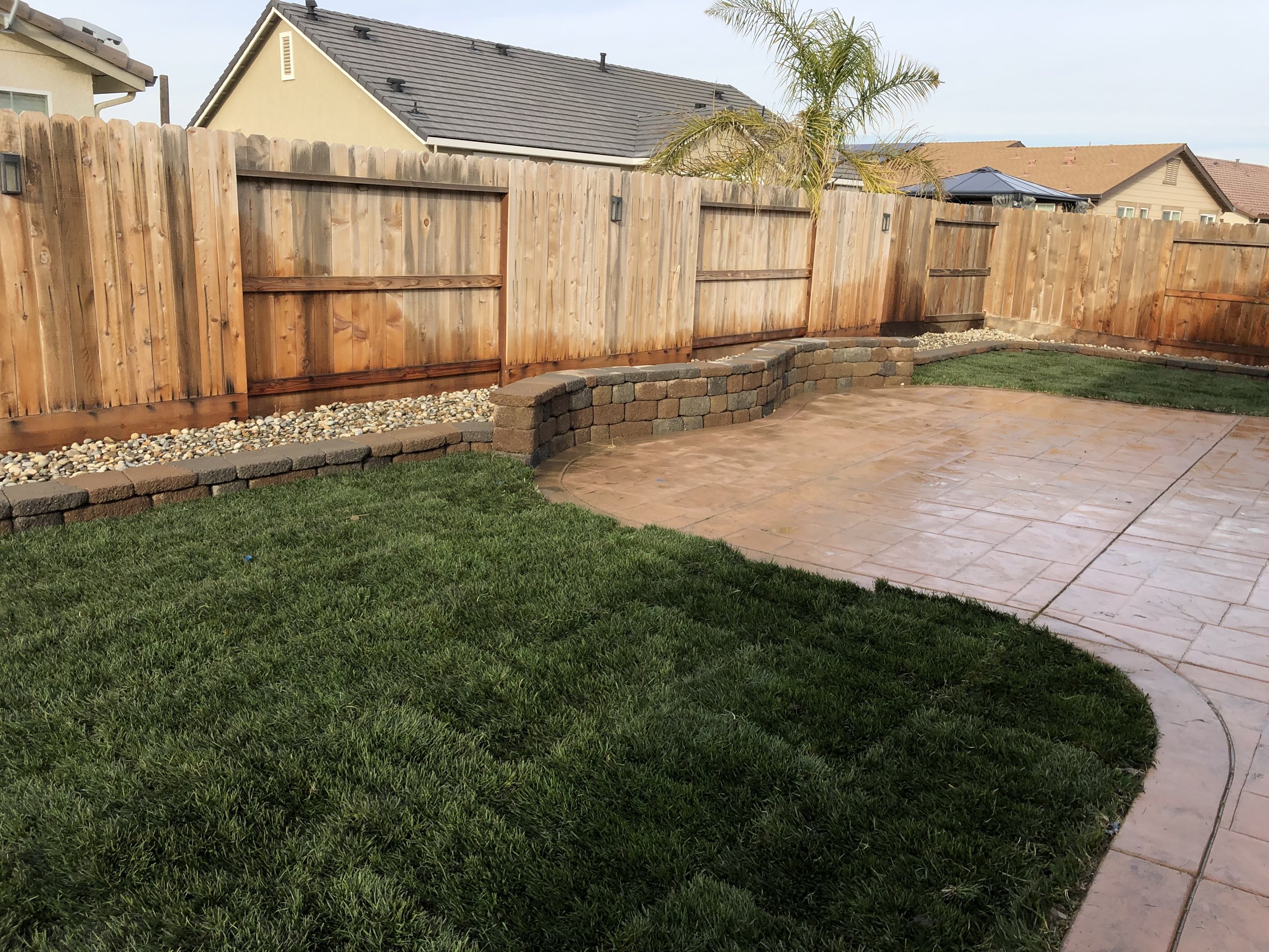 Backyard with green grass, a curved concrete patio, and a wooden fence with a rock border, a small palm tree, and neighboring houses in the background.