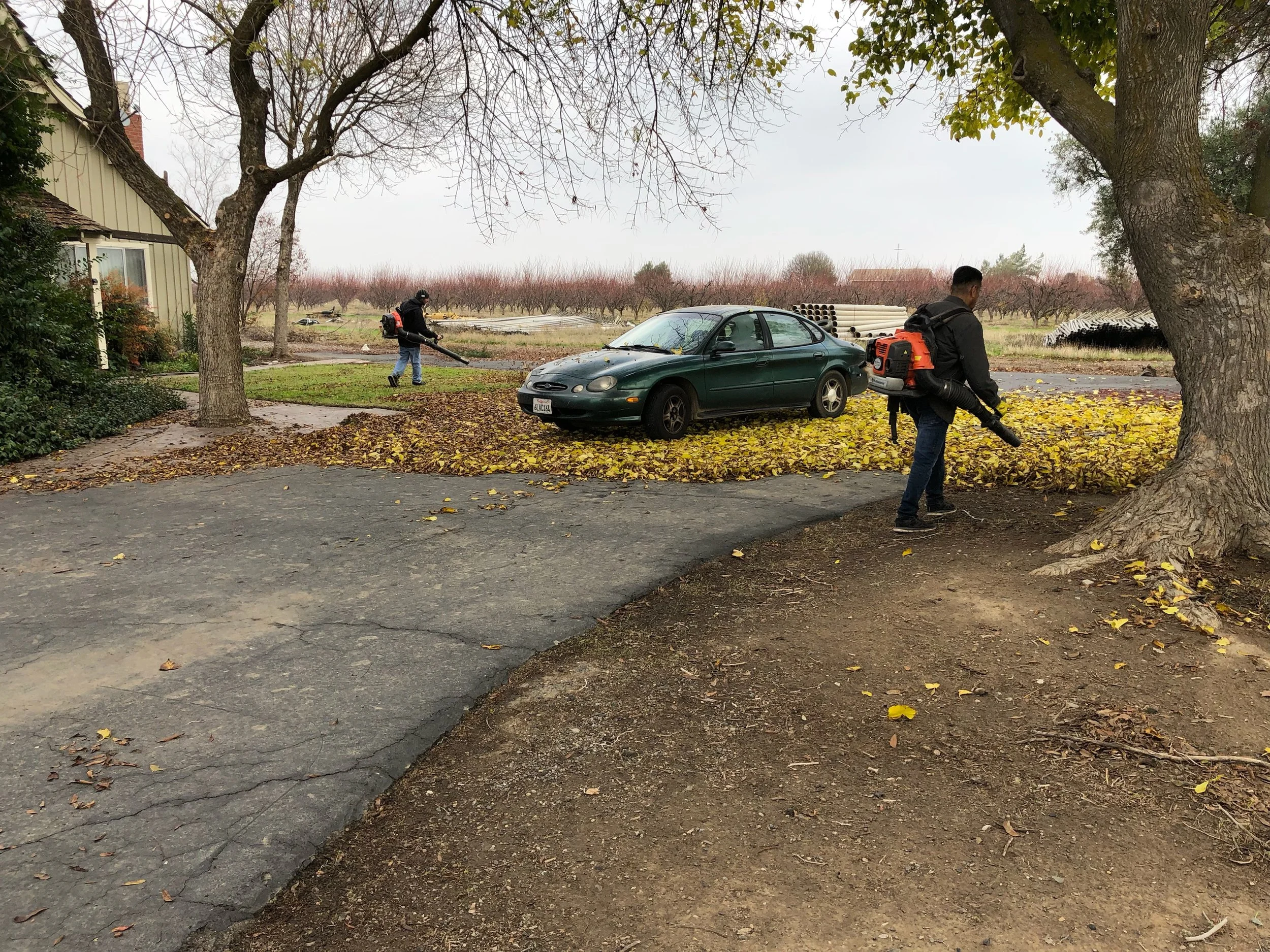 Two people using leaf blowers to clear fallen leaves on a residential driveway during fall, with a green car parked in the background, trees shedding leaves, and cloudy sky.