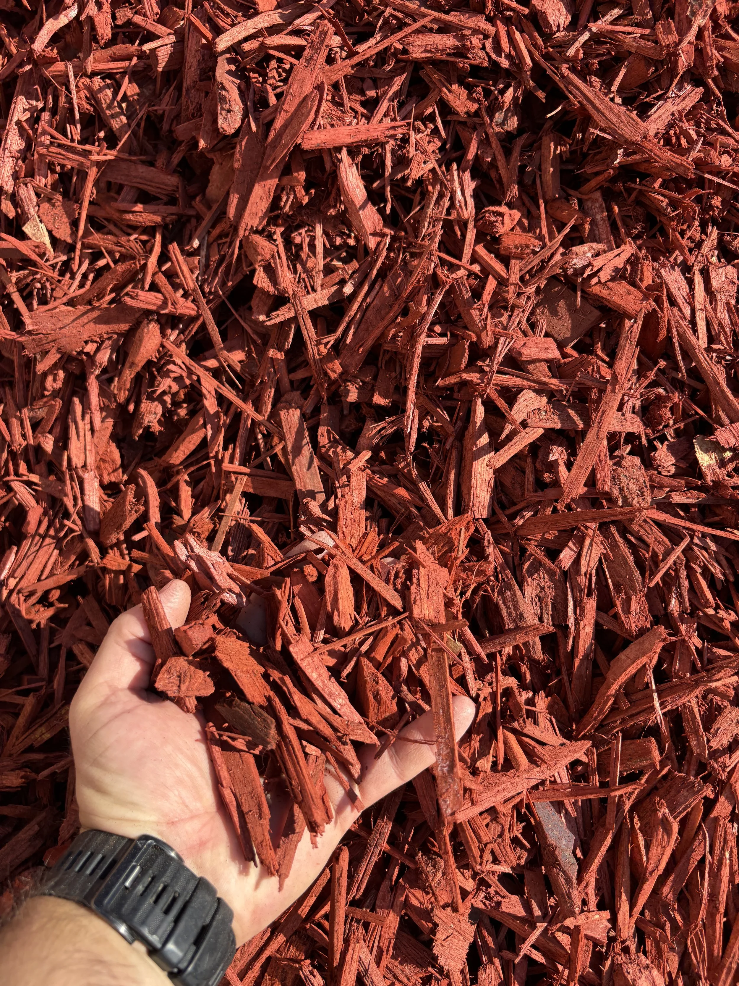 A hand holding reddish-brown mulch wood chips over a pile of similar chips.
