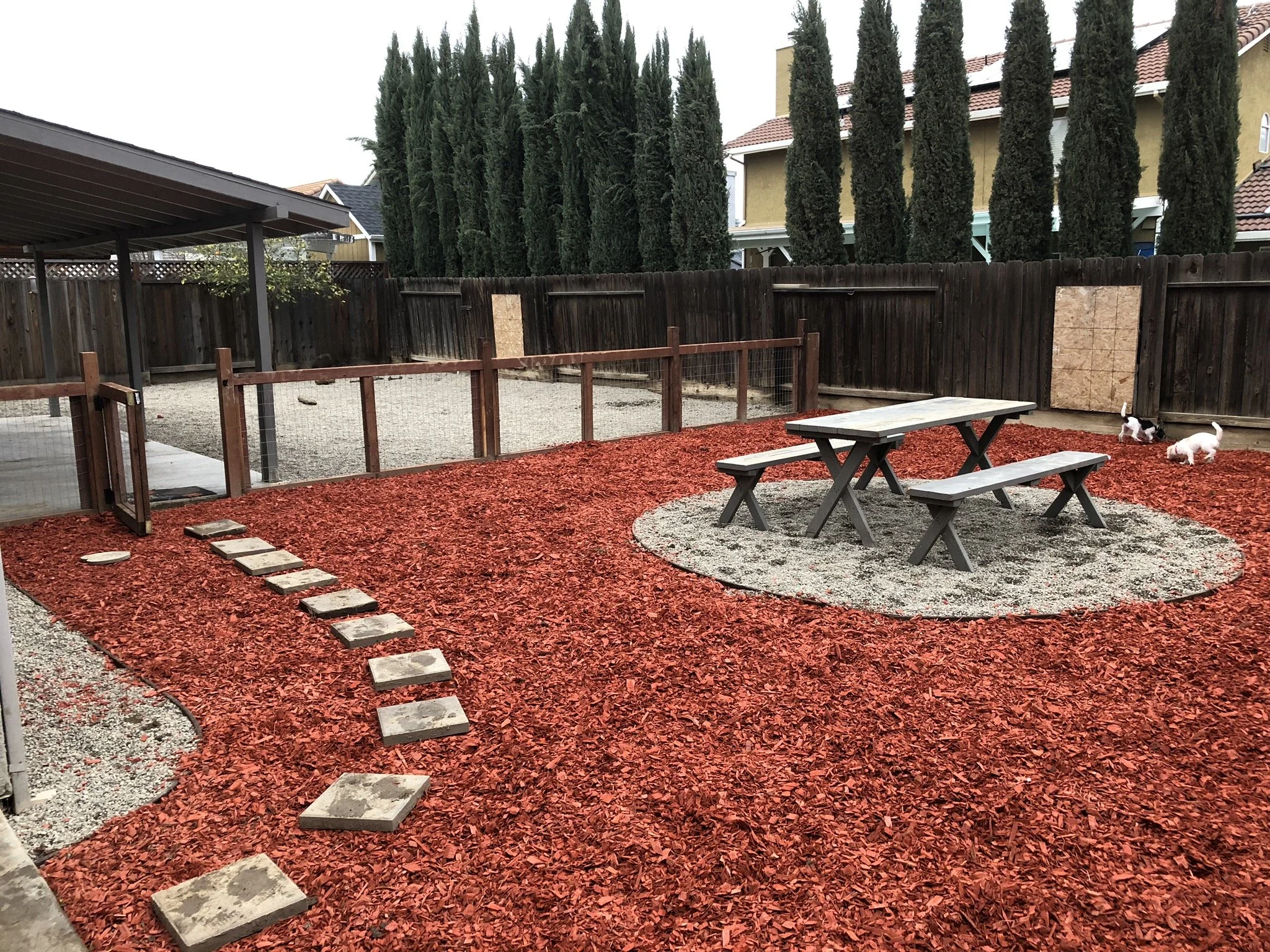 A backyard with a red mulch ground cover, a wooden picnic table and benches on a gravel patch, a small fenced area with a gravel ground, and two small white dogs near the fence. Tall trees are in the background and the yard is surrounded by a wooden 