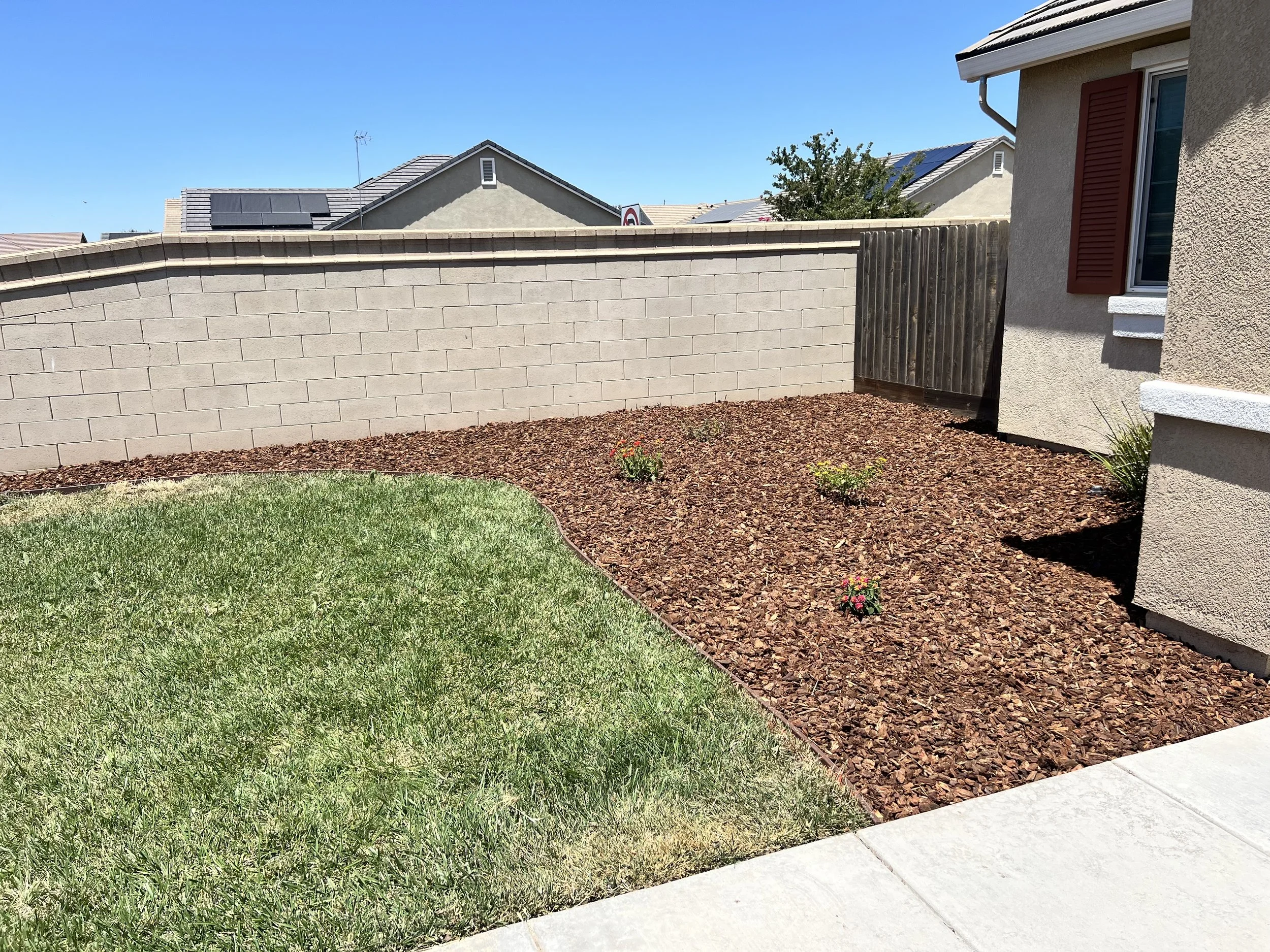 A backyard with a curved green lawn area, a bed of mulch with small plants, a cinder block wall, and a house with beige stucco walls and red shutters.