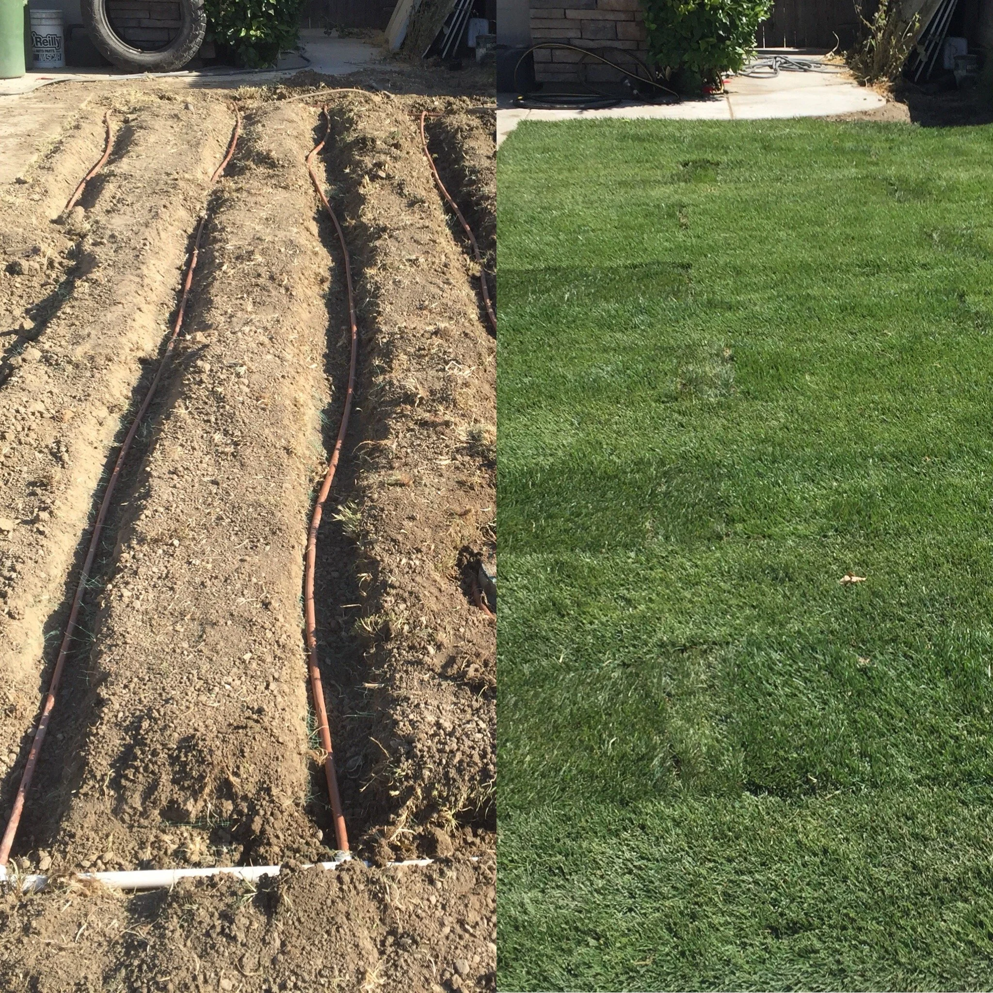 A side-by-side comparison of a yard, with the left side showing freshly tilled soil with irrigation tubing, and the right side showing a lush, green, well-maintained lawn.