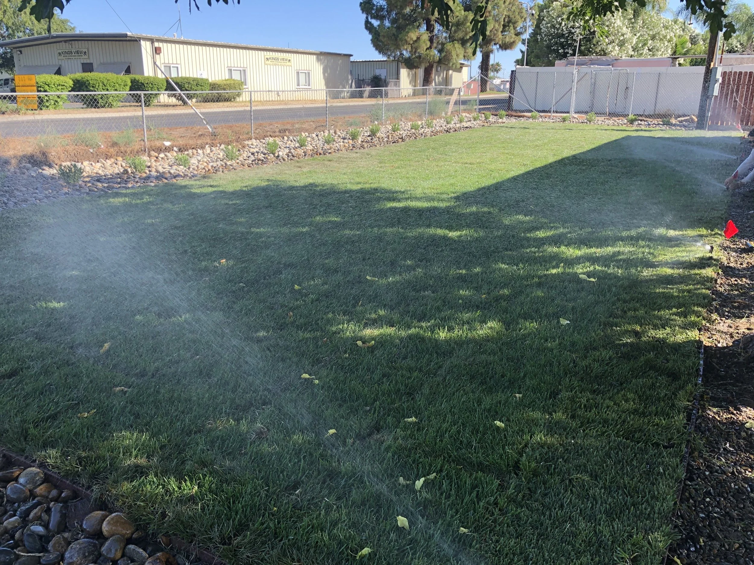 Spraying water on a freshly planted green lawn, with a chain-link fence, small plants lining the fence, and industrial buildings in the background.