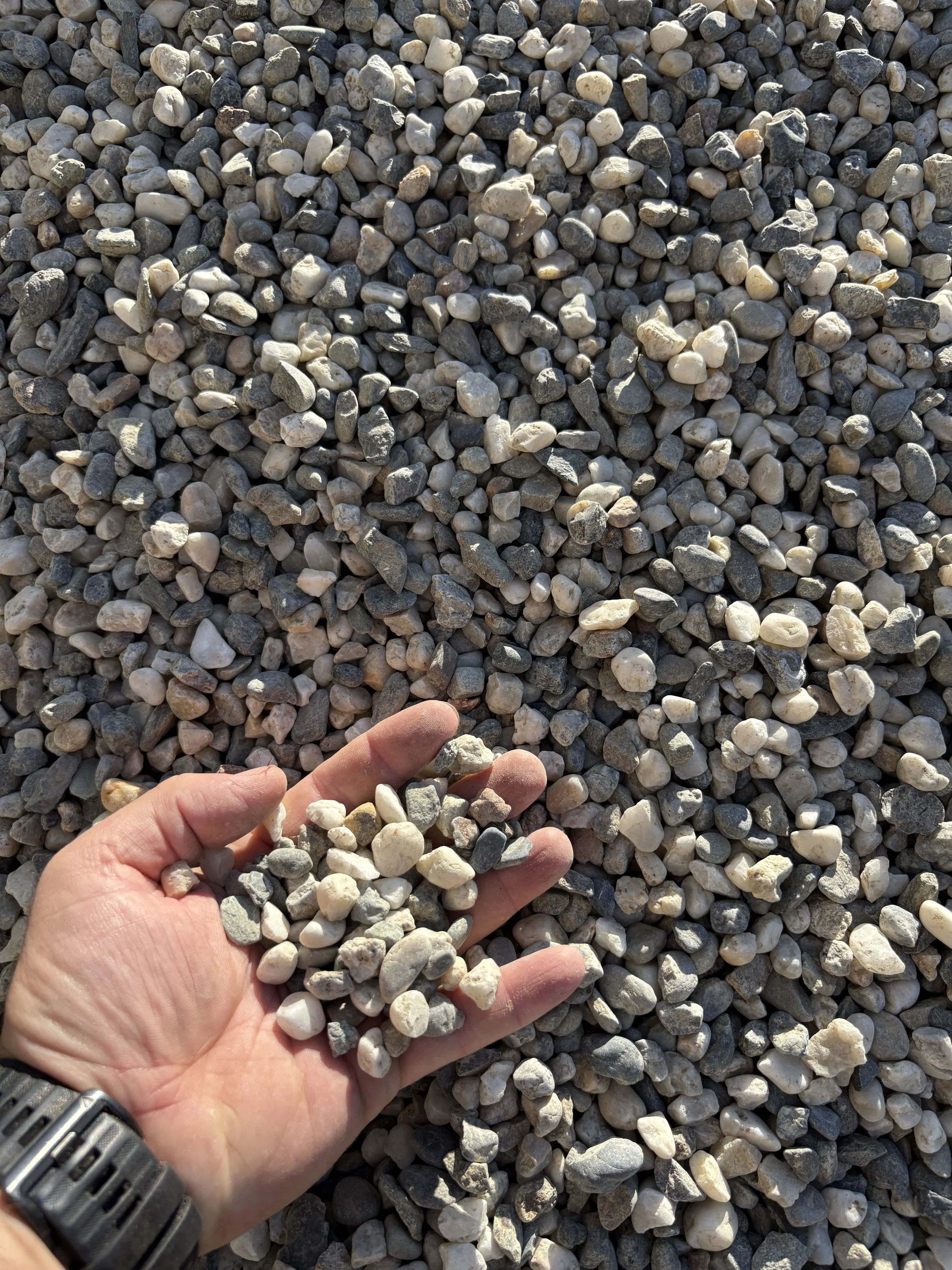Hand holding small gray and white pebbles over a large pile of similar pebbles.