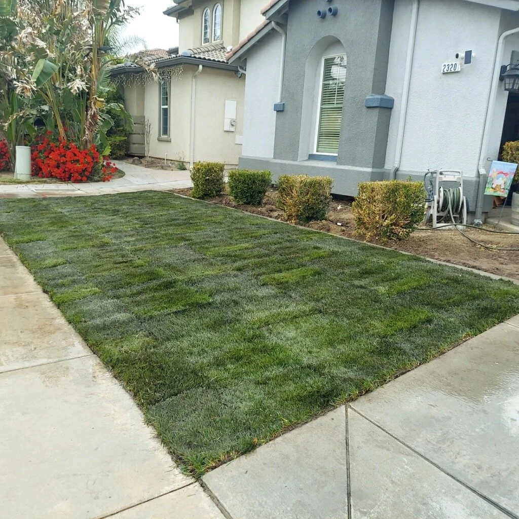 A newly laid patch of green grass in front of a house with gray exterior walls, bushes, and a sidewalk.