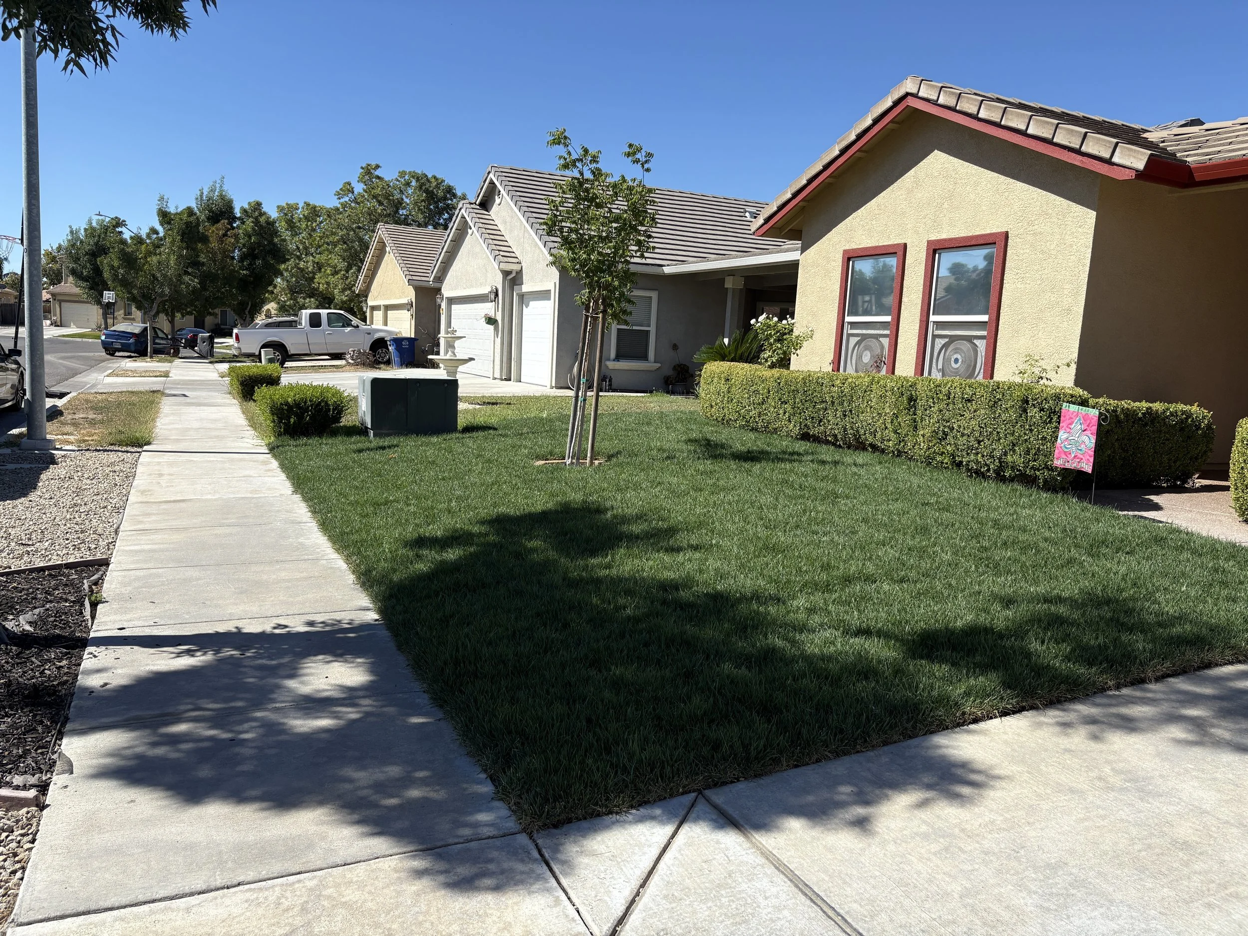A suburban front yard with a well-maintained lawn, bushes, and trees. There is a sidewalk running through the yard, and houses with garages and parked vehicles are visible in the background. A small sign is in the bushes on the right.