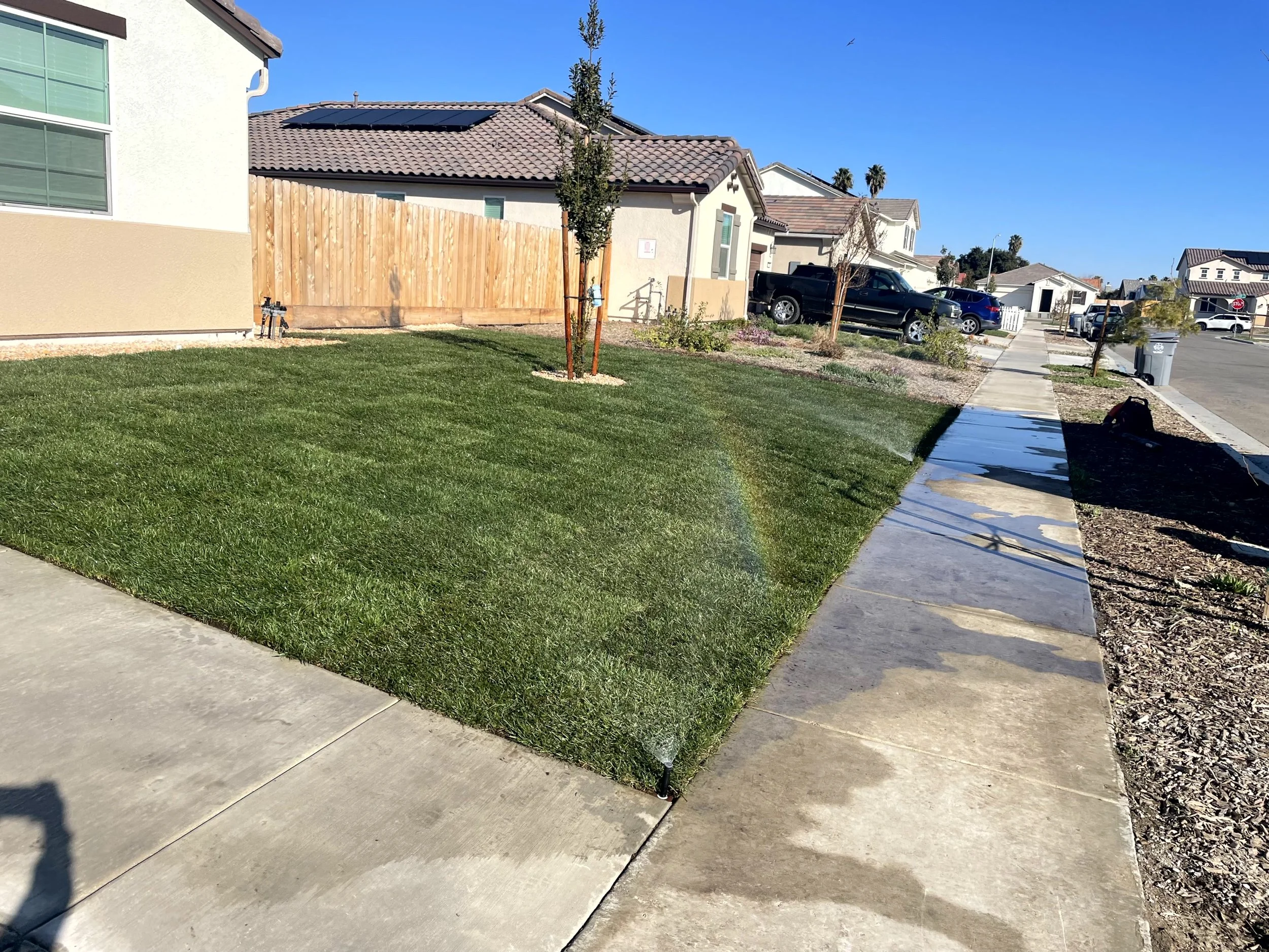 Front yard of a house with green grass, young trees, a concrete sidewalk, and a rainbow visible due to sprinkler spray under a clear blue sky.