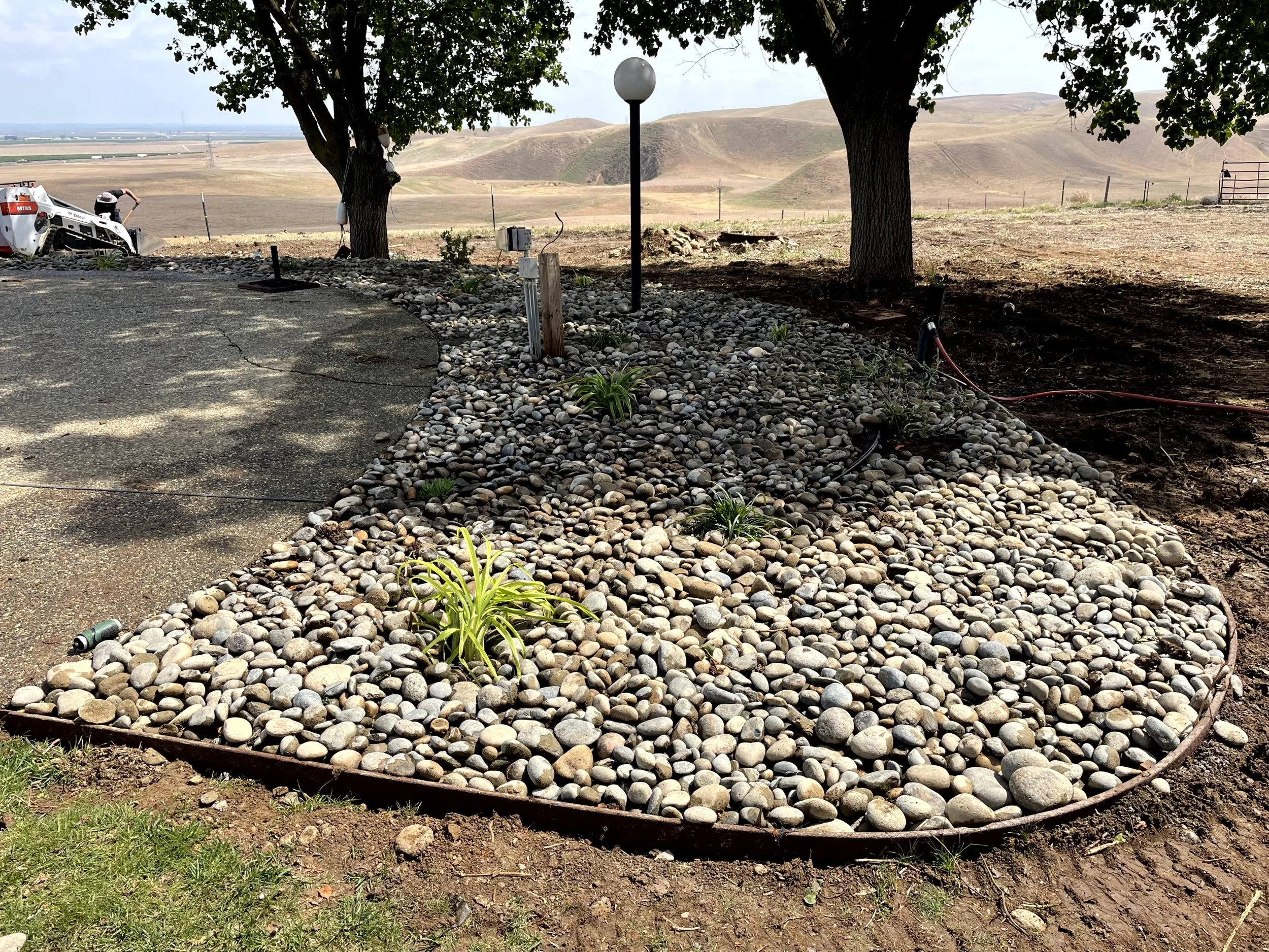 Garden bed with smooth river rocks and small green plants, located under shade of two trees, in a rural landscape with hills in the background, construction equipment, and a worker in the distance.