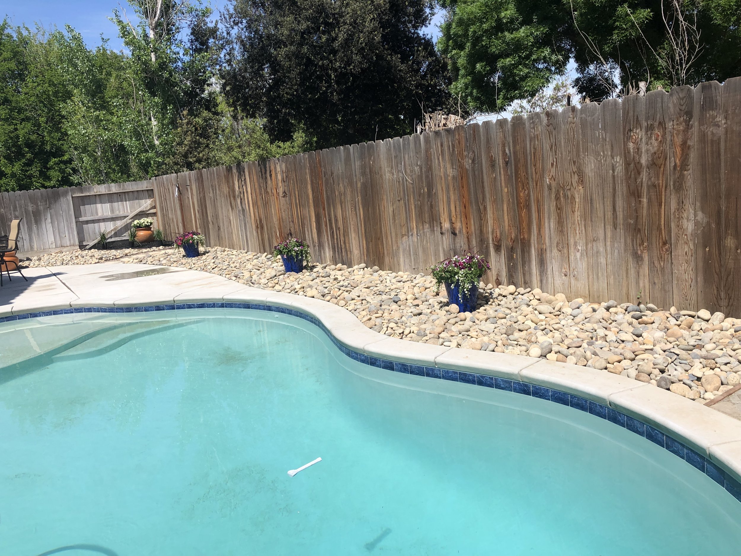Backyard swimming pool with a curved shape, surrounded by a concrete deck, wooden privacy fence, and a row of potted flowering plants along the fence, with trees in the background.