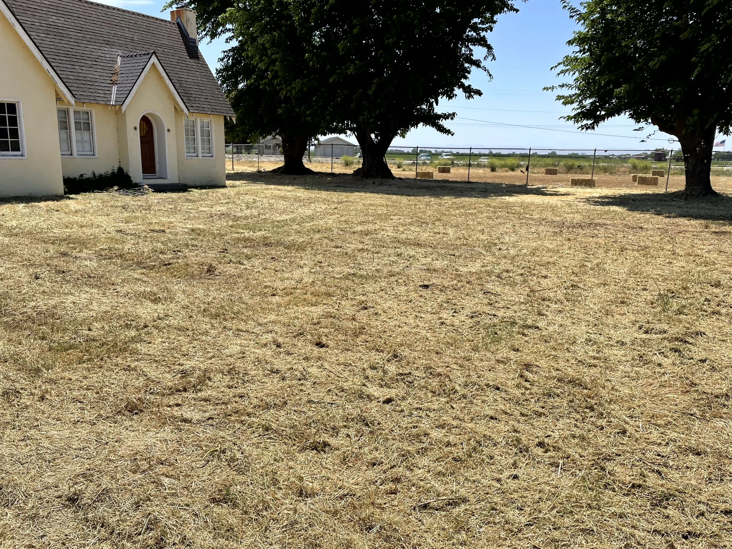 A yellow house with a brown door next to two large trees in a brown, dry field with hay bales in the background under a blue sky.