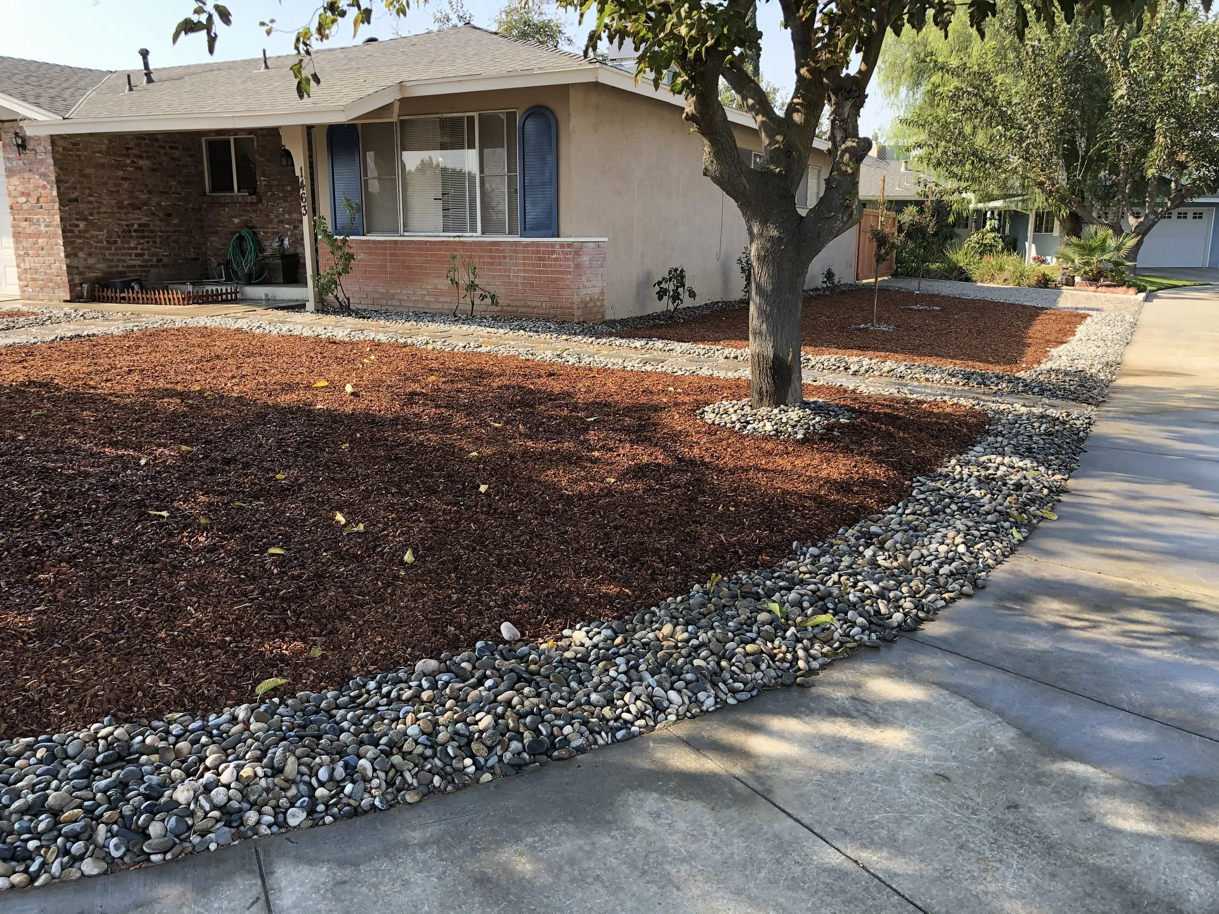 Front yard with brown mulch, decorative rocks bordering the walkway and around the trees, and a house with a brick and stucco exterior. Two trees in the yard and neighboring houses visible.