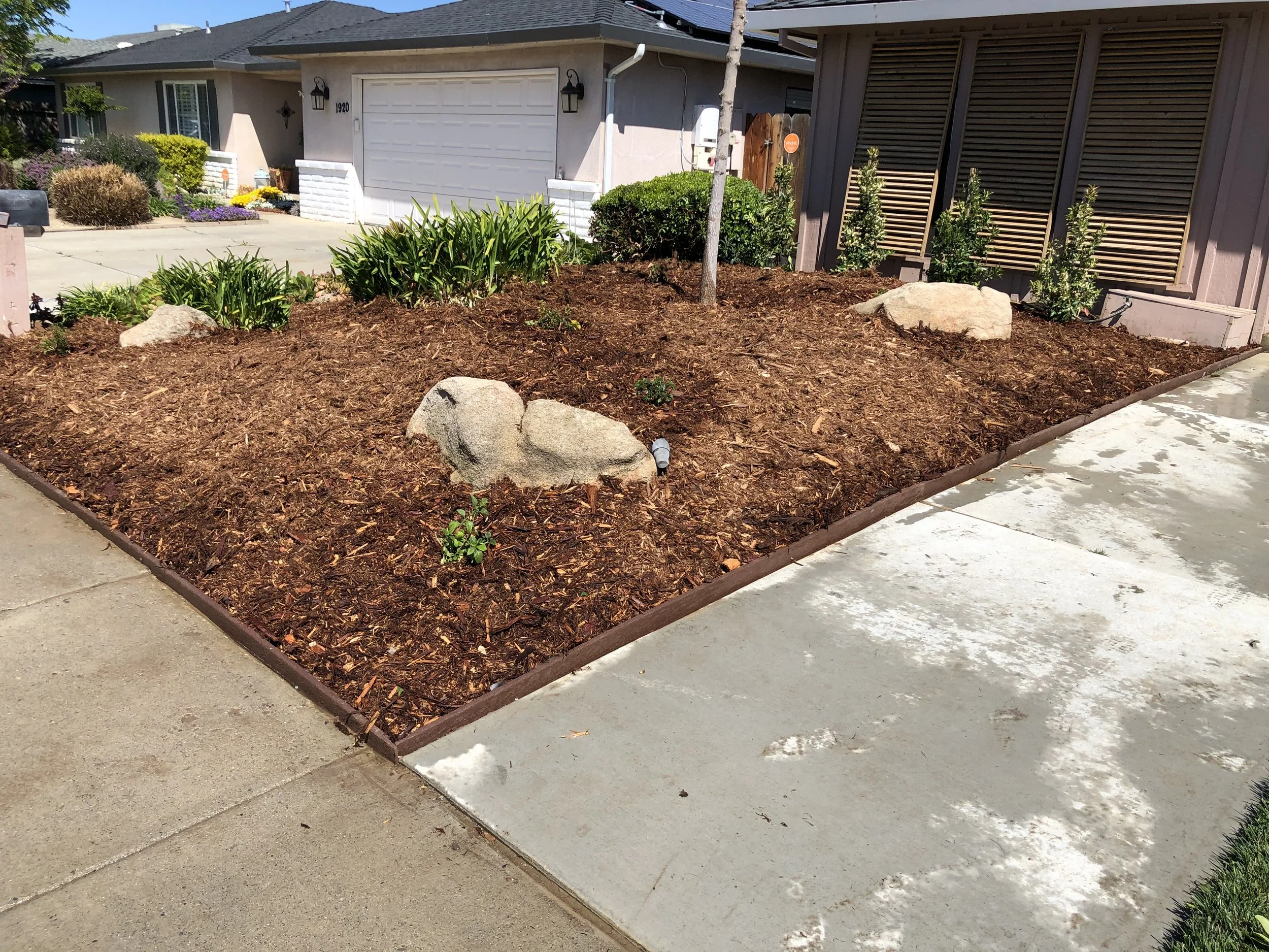 A small front yard garden with brown mulch, several large rocks, and some green plants, adjacent to a driveway in a residential neighborhood.