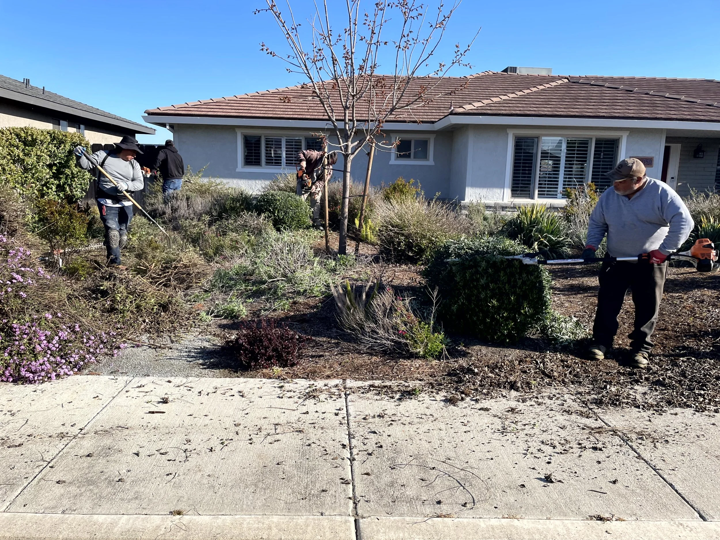 People working in a garden in front of a house, using gardening tools.