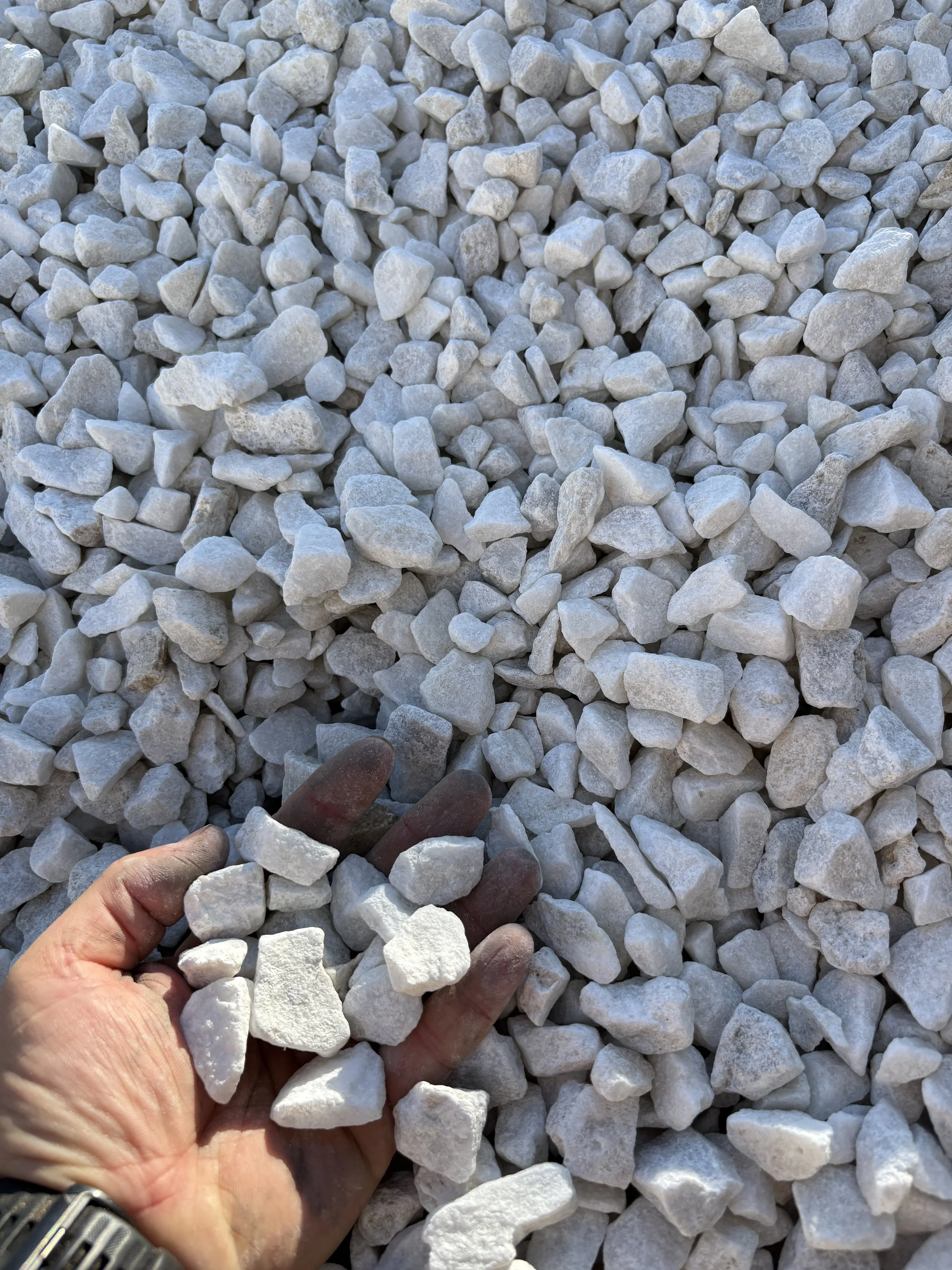 A hand holding small white gravel stones over a large pile of similar gravel.