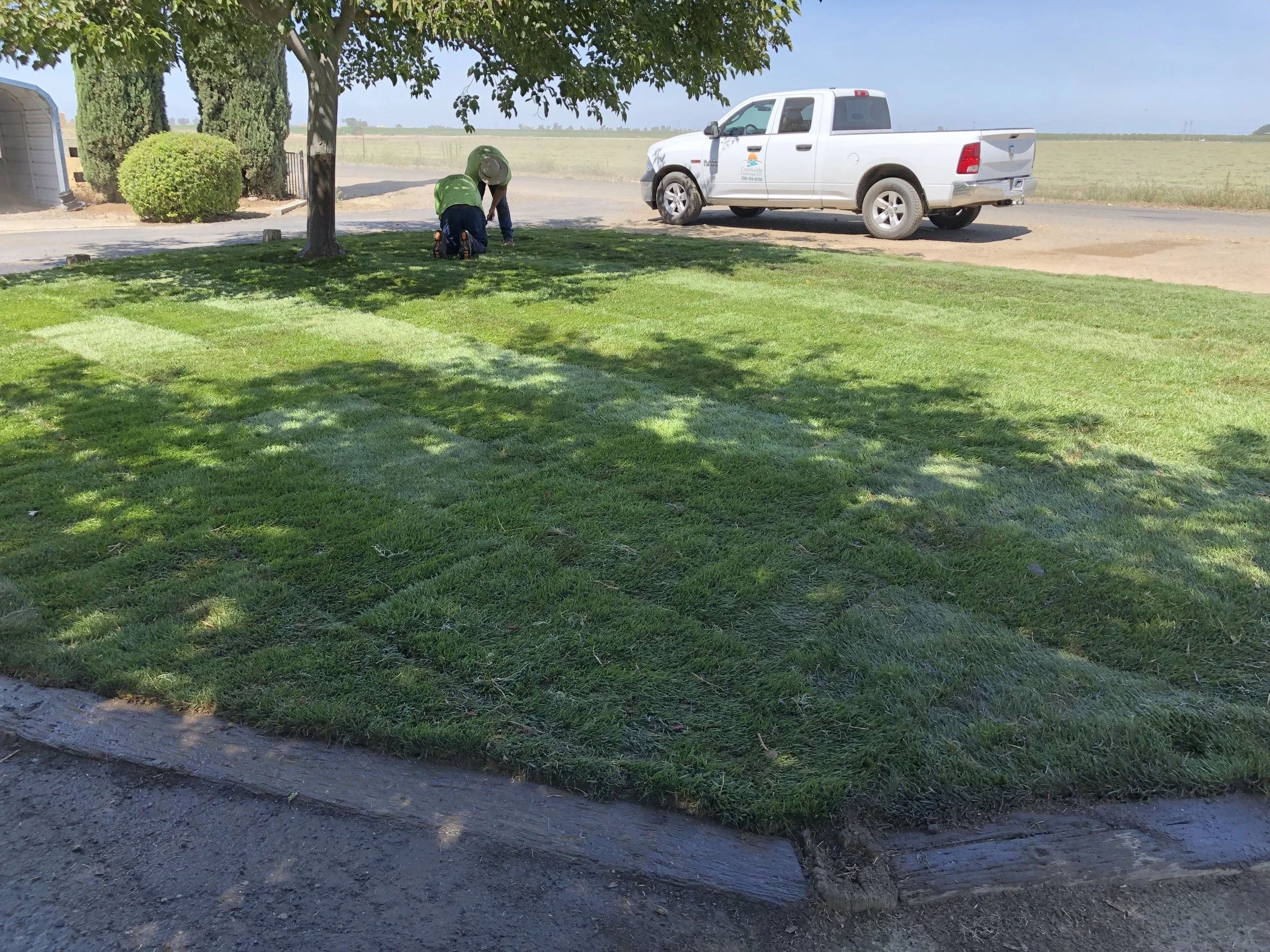 Two workers planting or tending to grass in a yard near a tree, with a white pickup truck parked on a dirt road in the background.