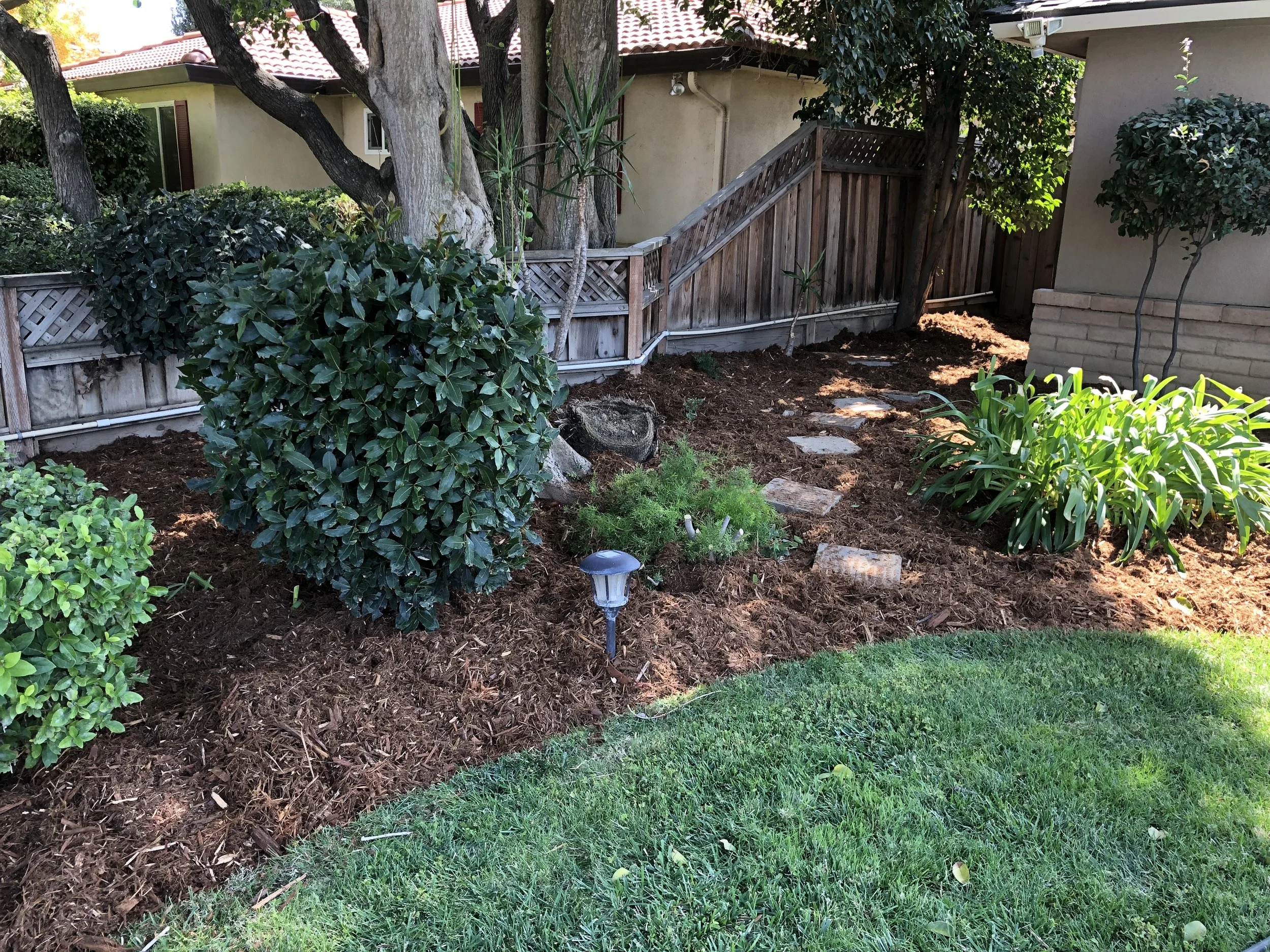 A backyard garden with neatly mulched flower beds, green shrubs, and a stone pathway leading to a wooden fence and stairs, with a tree providing shade.