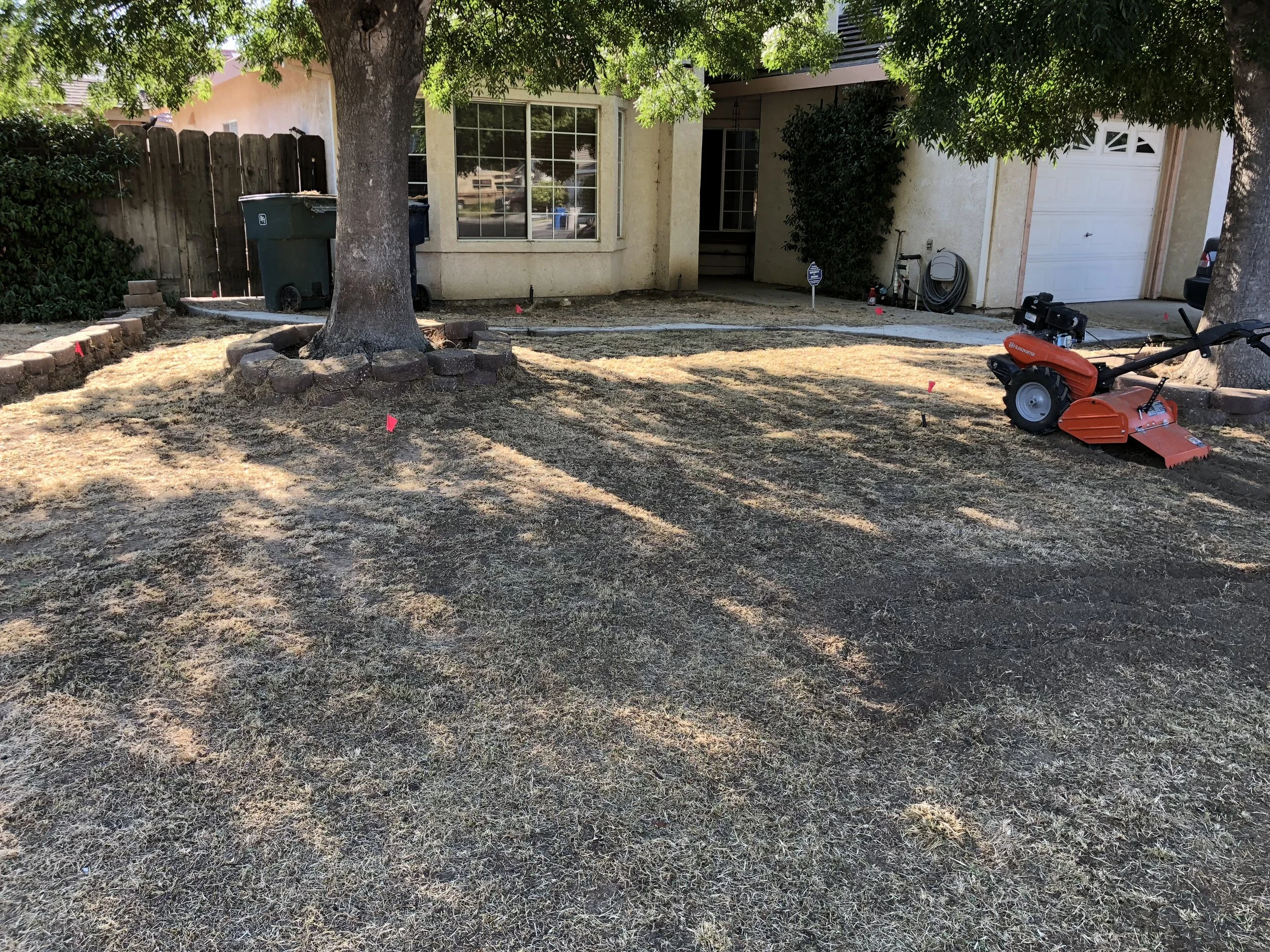 Front yard with a large tree, a lawn partially covered with dried grass, pink flags marking areas, and a red landscaping machine near the driveway in front of a house.