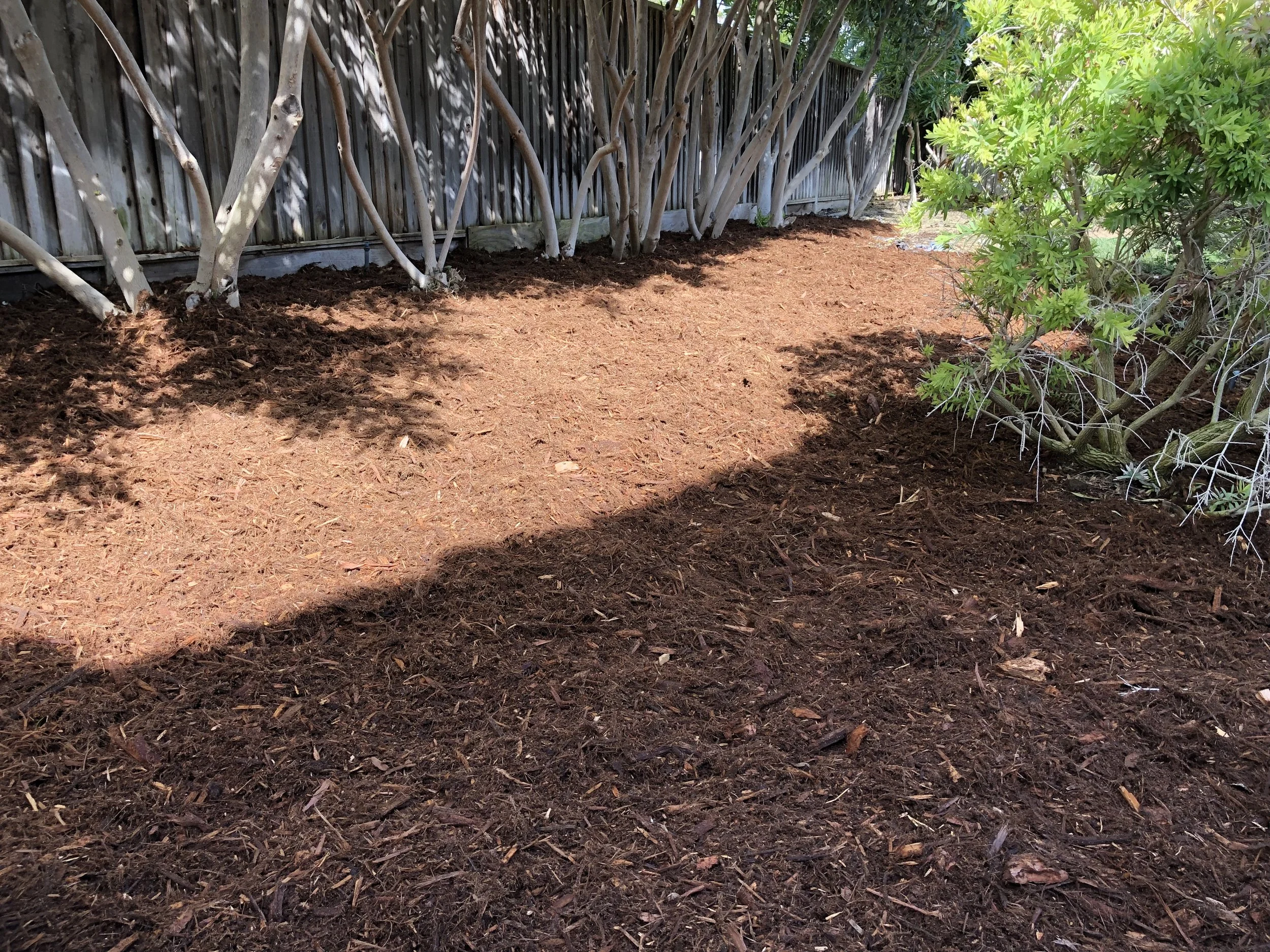 A garden bed with freshly turned soil and mulch, bordered by a wooden fence and leafy green bushes.