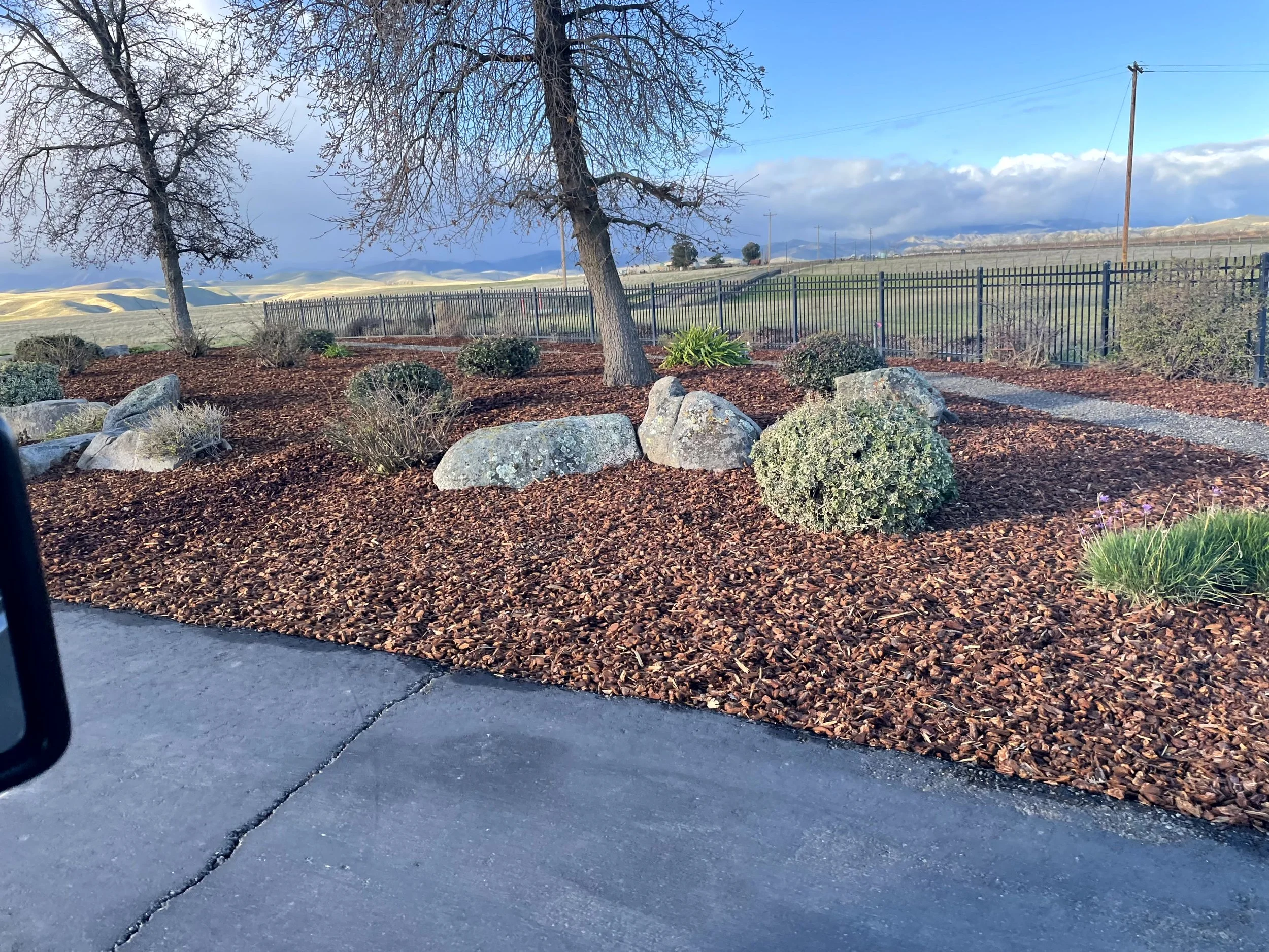 Landscape with trees, large rocks, shrubs, and a black fence in a yard, with hills and a cloudy sky in the background.