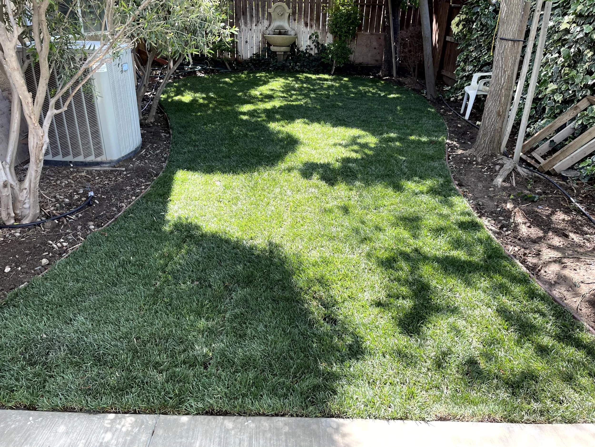A backyard with a curved, green lawn bordered by dirt and bordered by trees and plants. Shadows of trees are cast on the grass. There are white plastic chairs, a small stone fountain, and a large air conditioning unit visible. A fence surrounds the y