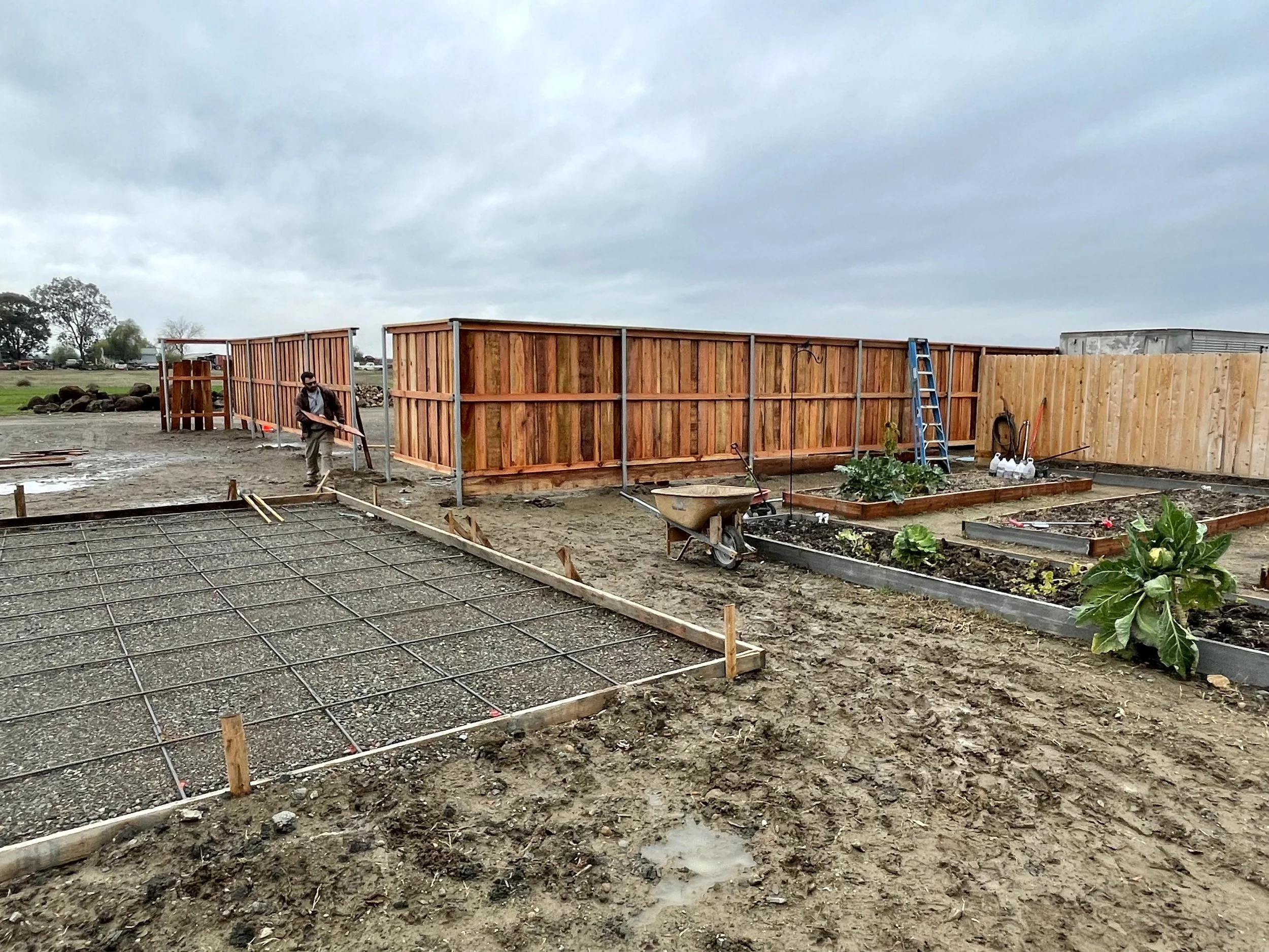 A person is working on a gardening site with beds and a wooden privacy fence, under a cloudy sky.