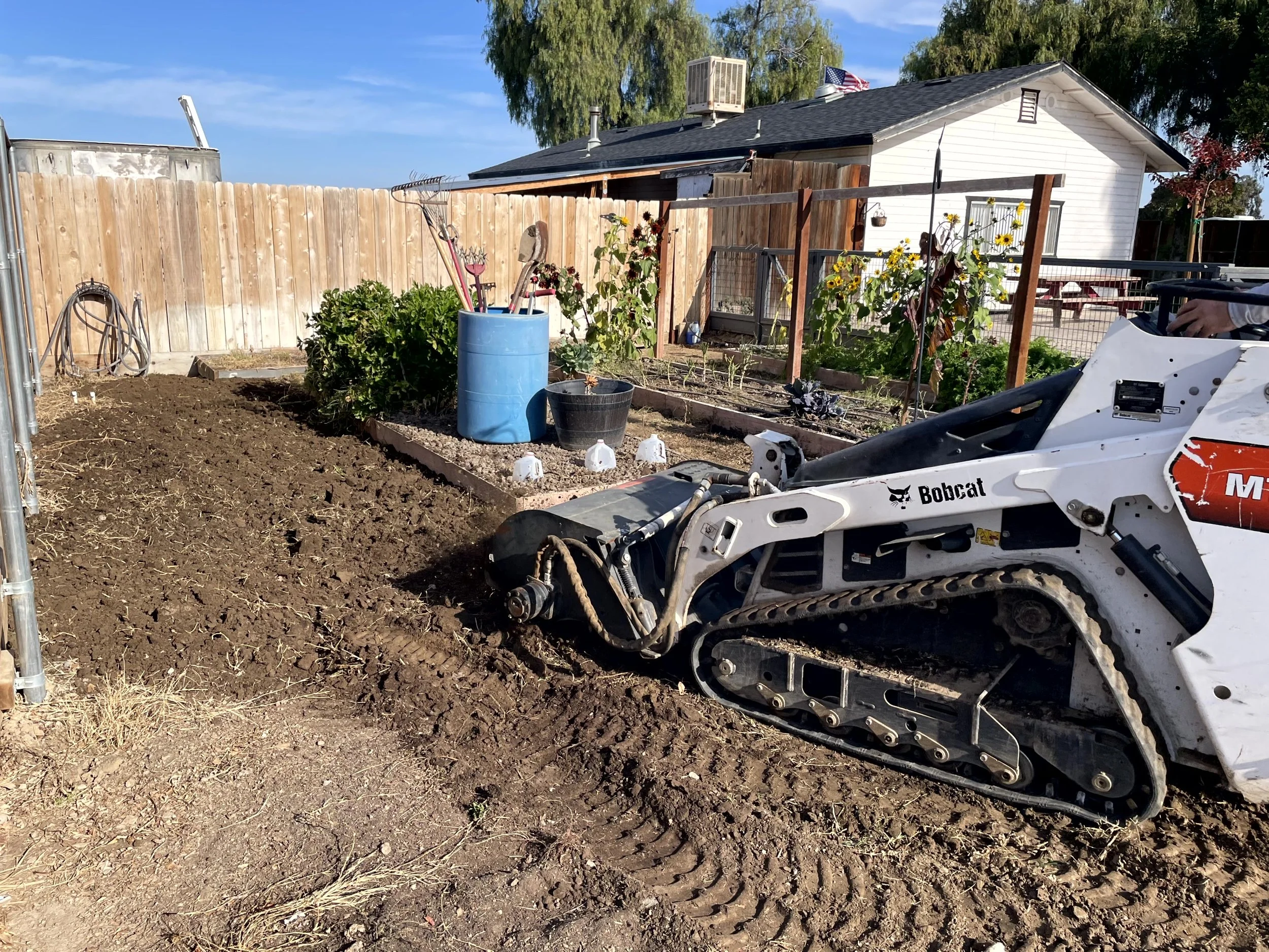 A backyard garden with a small Bobcat tractor working on the soil, wooden raised beds with plants, gardening tools in a blue barrel, and a house with a wooden fence in the background.