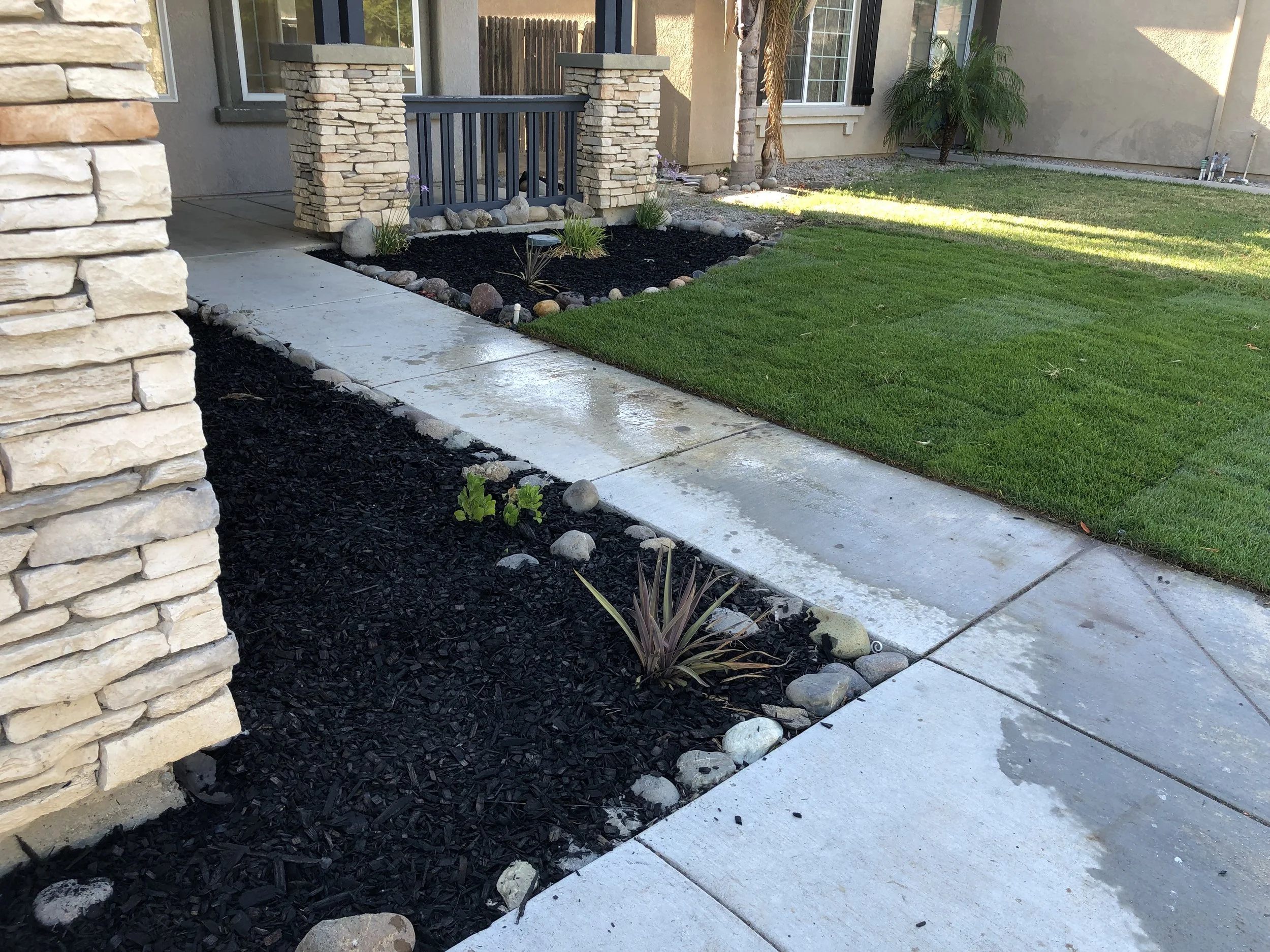 A residential front yard with a concrete sidewalk, green grass, and a landscaped area with rocks and small plants near the house with stone and stucco exterior.