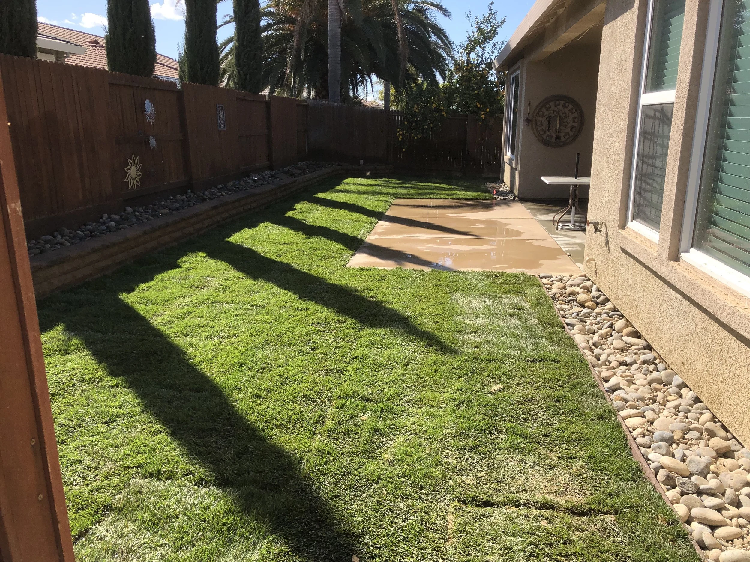 A backyard with a green lawn, a concrete patio, a wooden fence decorated with holiday ornaments, and trees in the background. Shadows of a table and umbrella are cast on the grass.