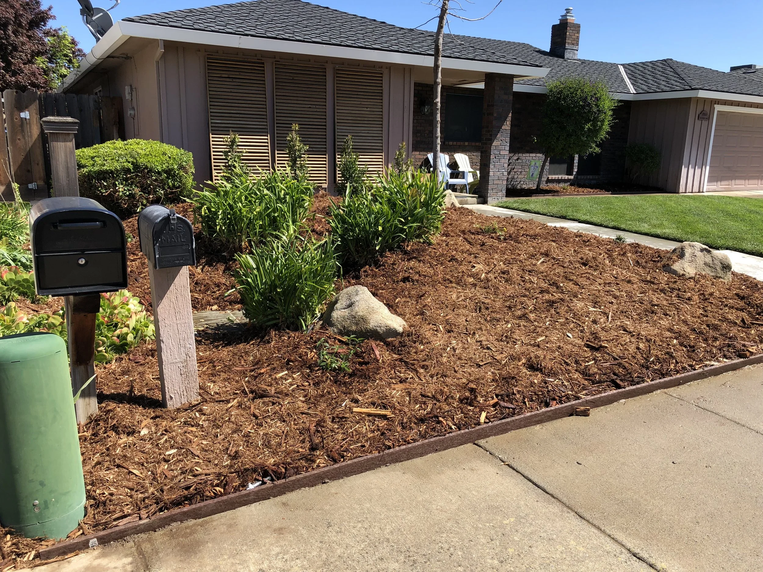 Front yard of a house with a freshly landscaped garden bed, mulch, green plants, a small tree, rocks, and a sidewalk, with mailbox, mail slot, and a green utility box in the foreground.