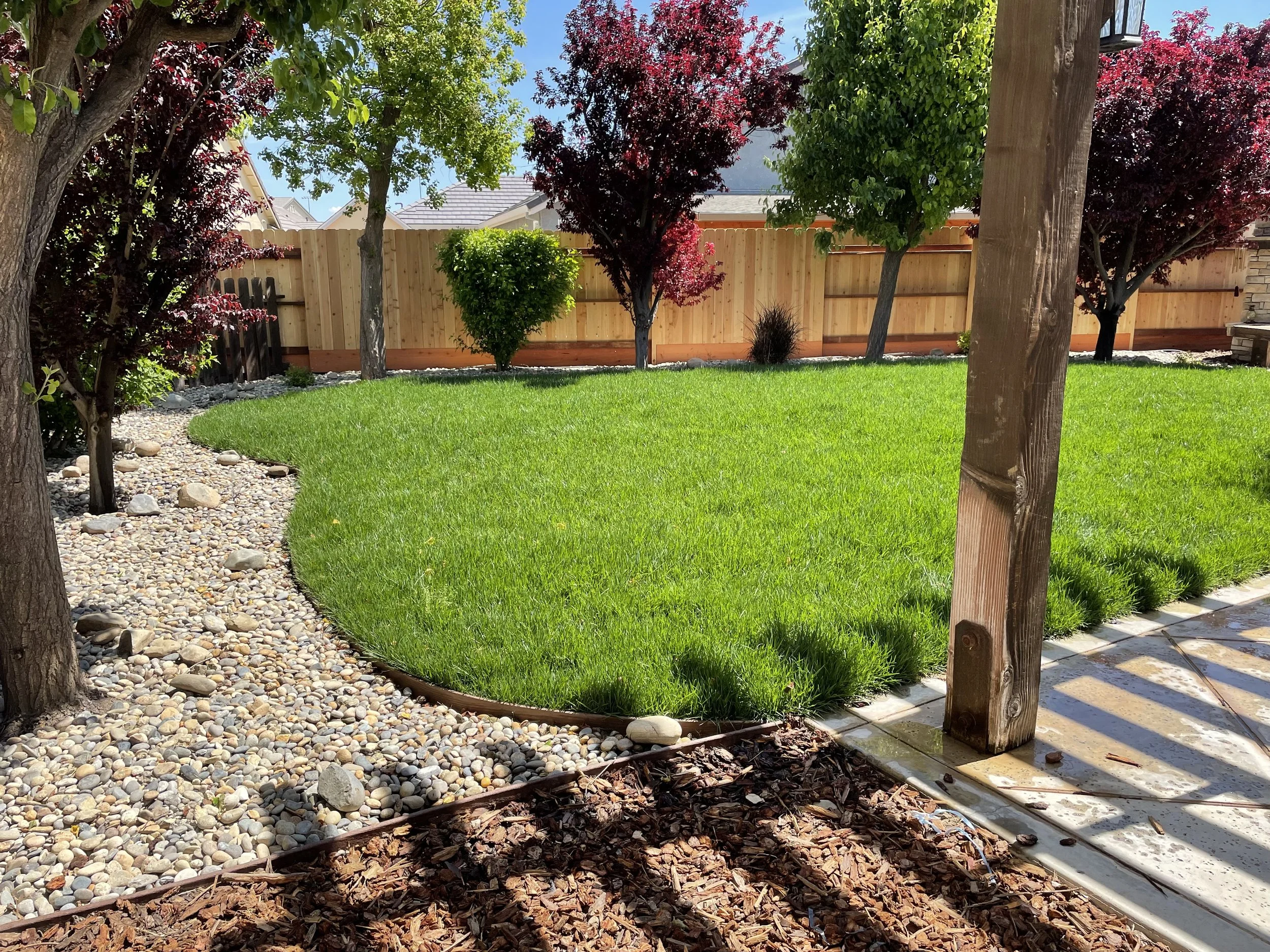 A backyard with a curved, green grass lawn, surrounded by trees, bushes, a wooden fence, and a stone pathway.