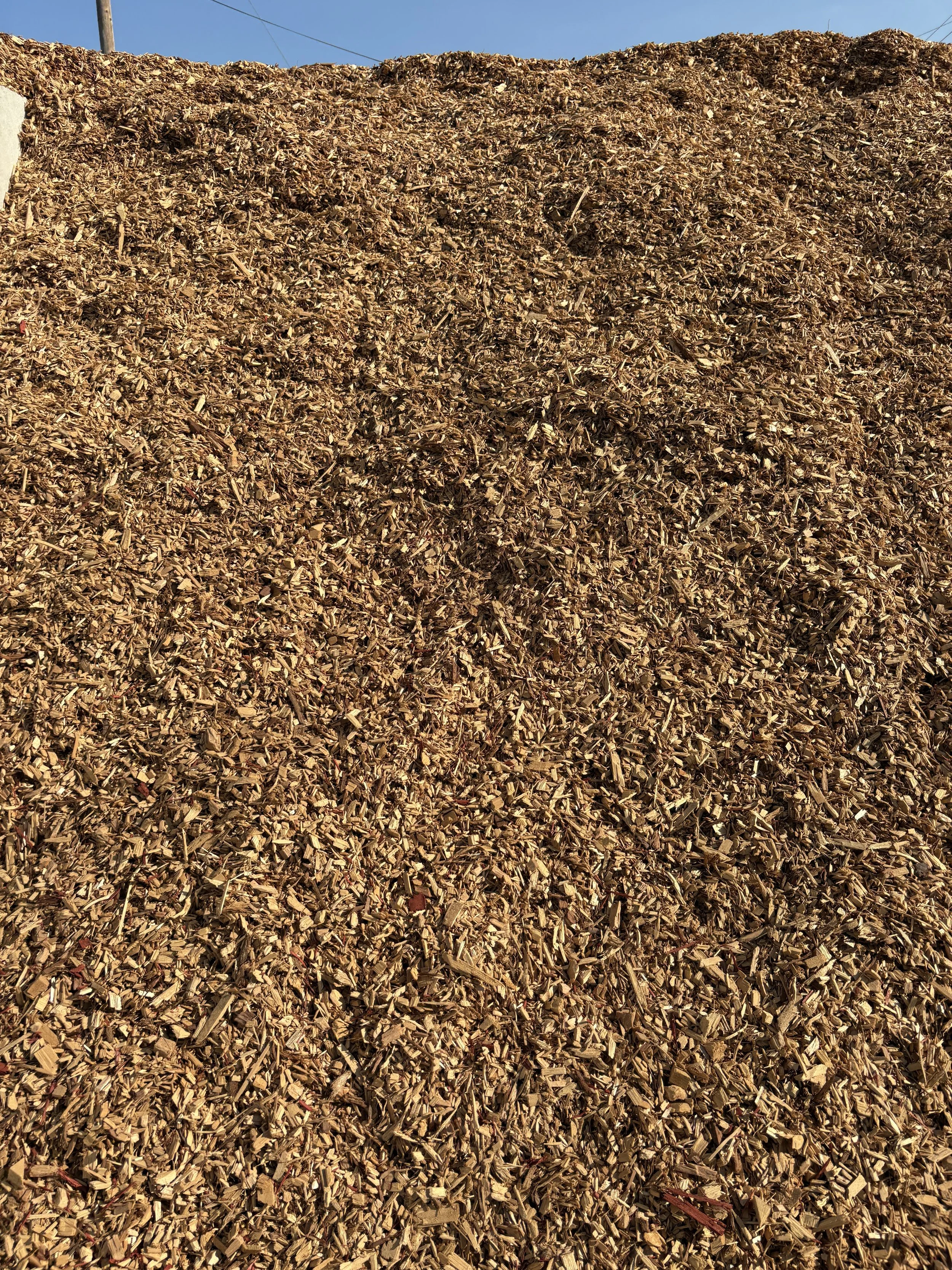 A large pile of wood chips or mulch outdoors with a clear blue sky in the background.