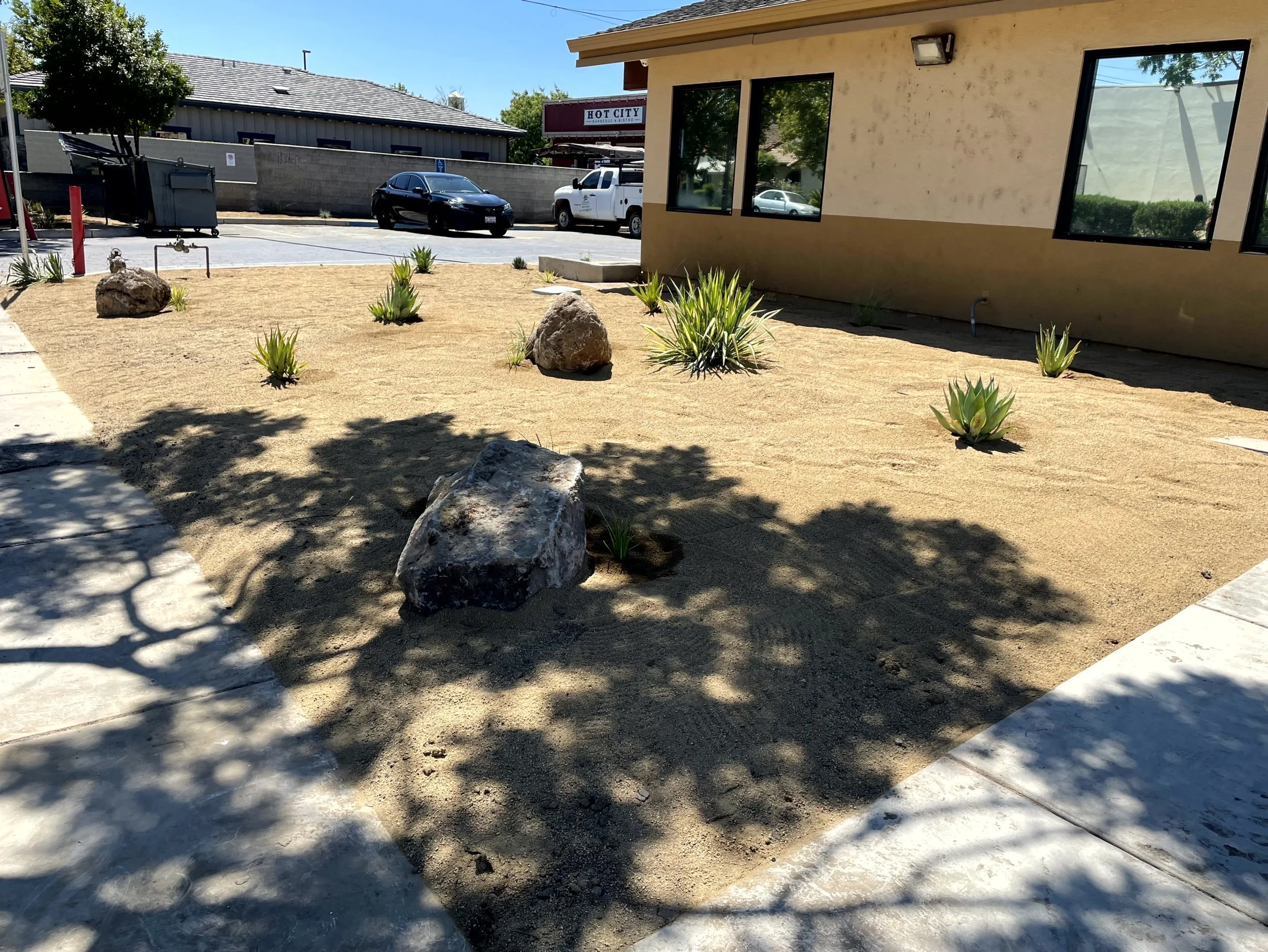 A landscaped area with sand, rocks, and small green plants in front of a building with large windows. There is a sidewalk on the left, and parked cars and a street are visible in the background.