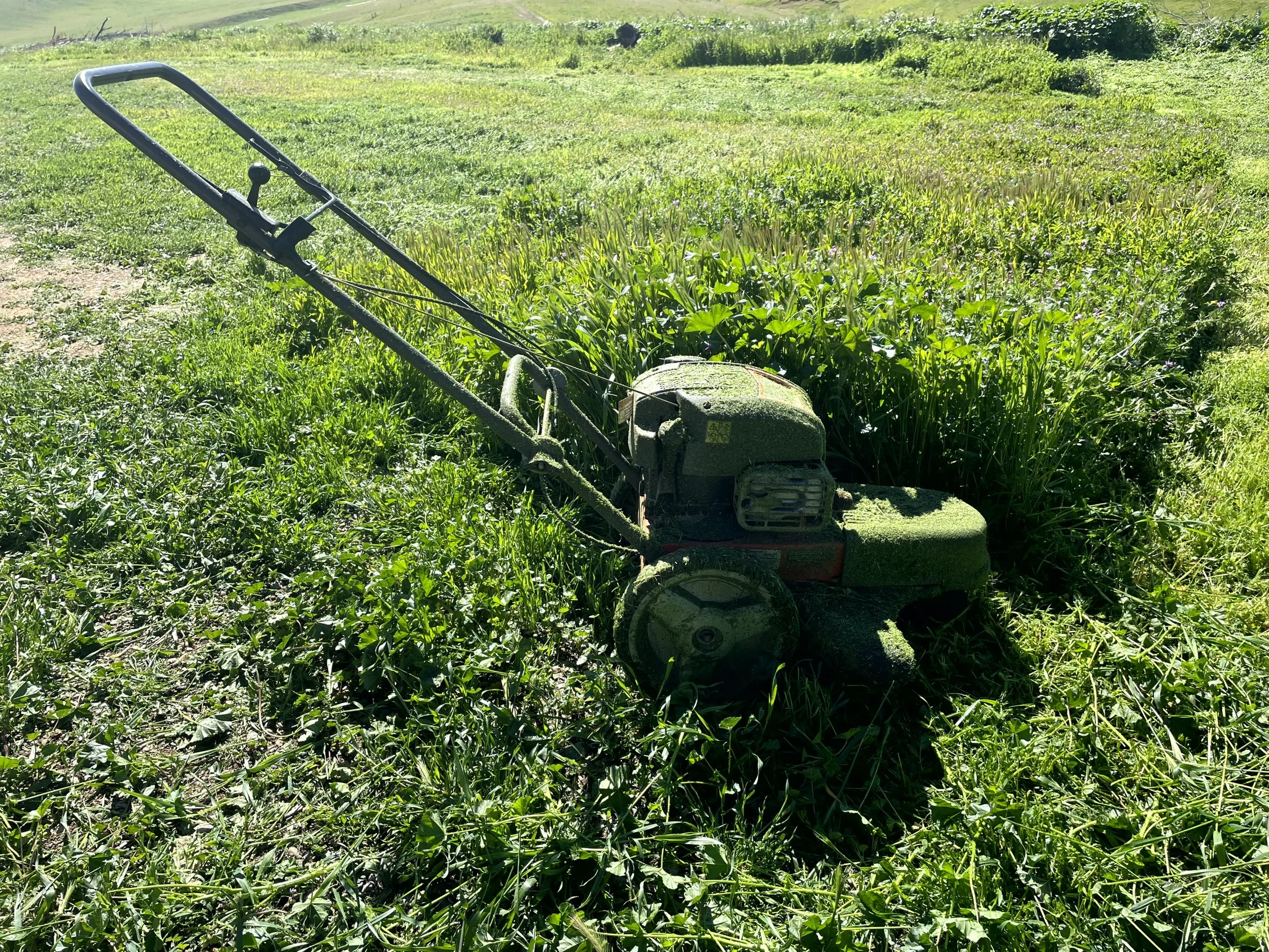 A push lawn mower covered in green moss and grass, sitting on a field of tall grass and weeds in a rural area with a bright, sunny sky.