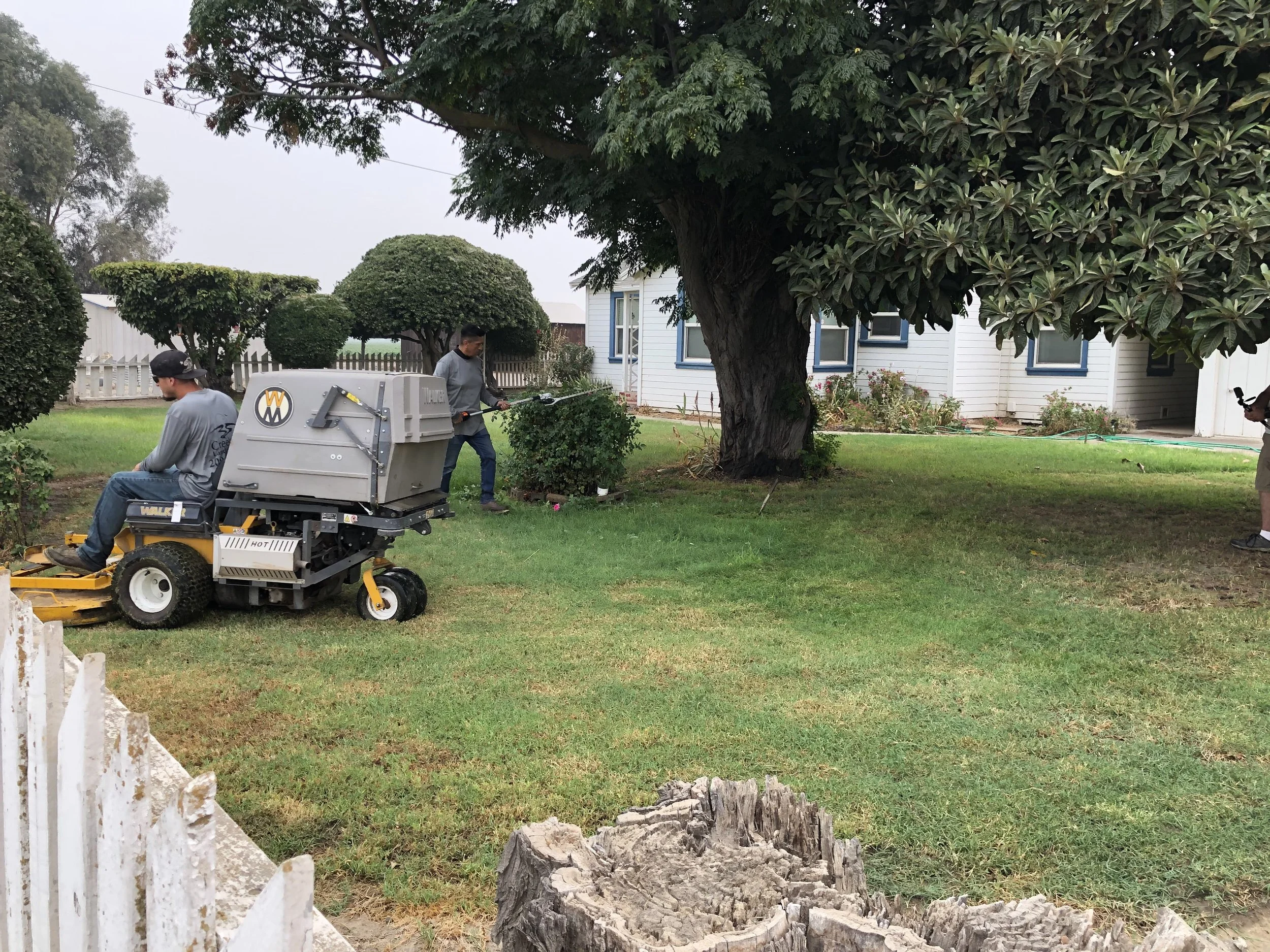 Two workers are trimming bushes in a yard. One is sitting on a riding lawn mower, and the other is standing nearby with gardening tools. There is a large tree, a white house, and some trimmed bushes in the background.