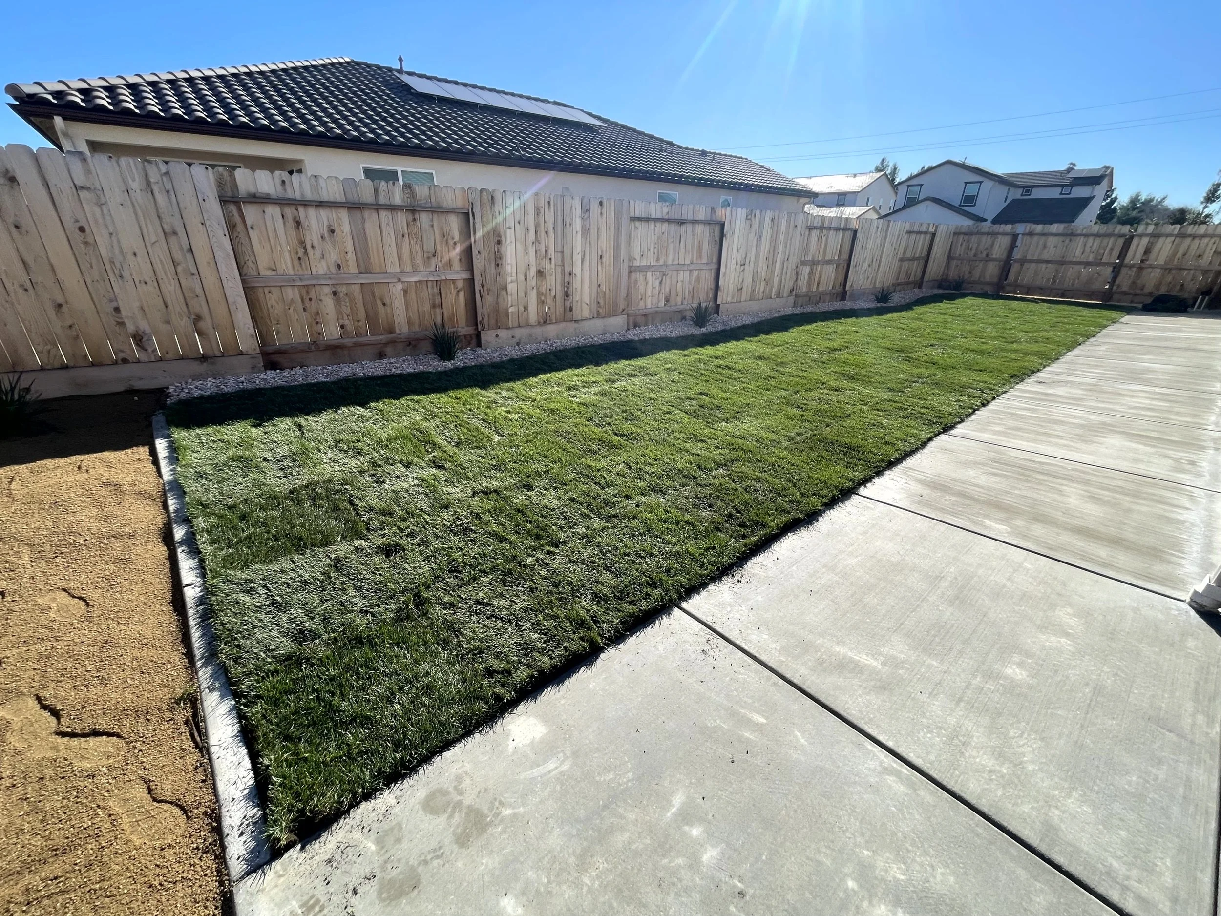 A backyard with a freshly laid green lawn, a wooden privacy fence, a concrete patio, and neighboring houses in the background.