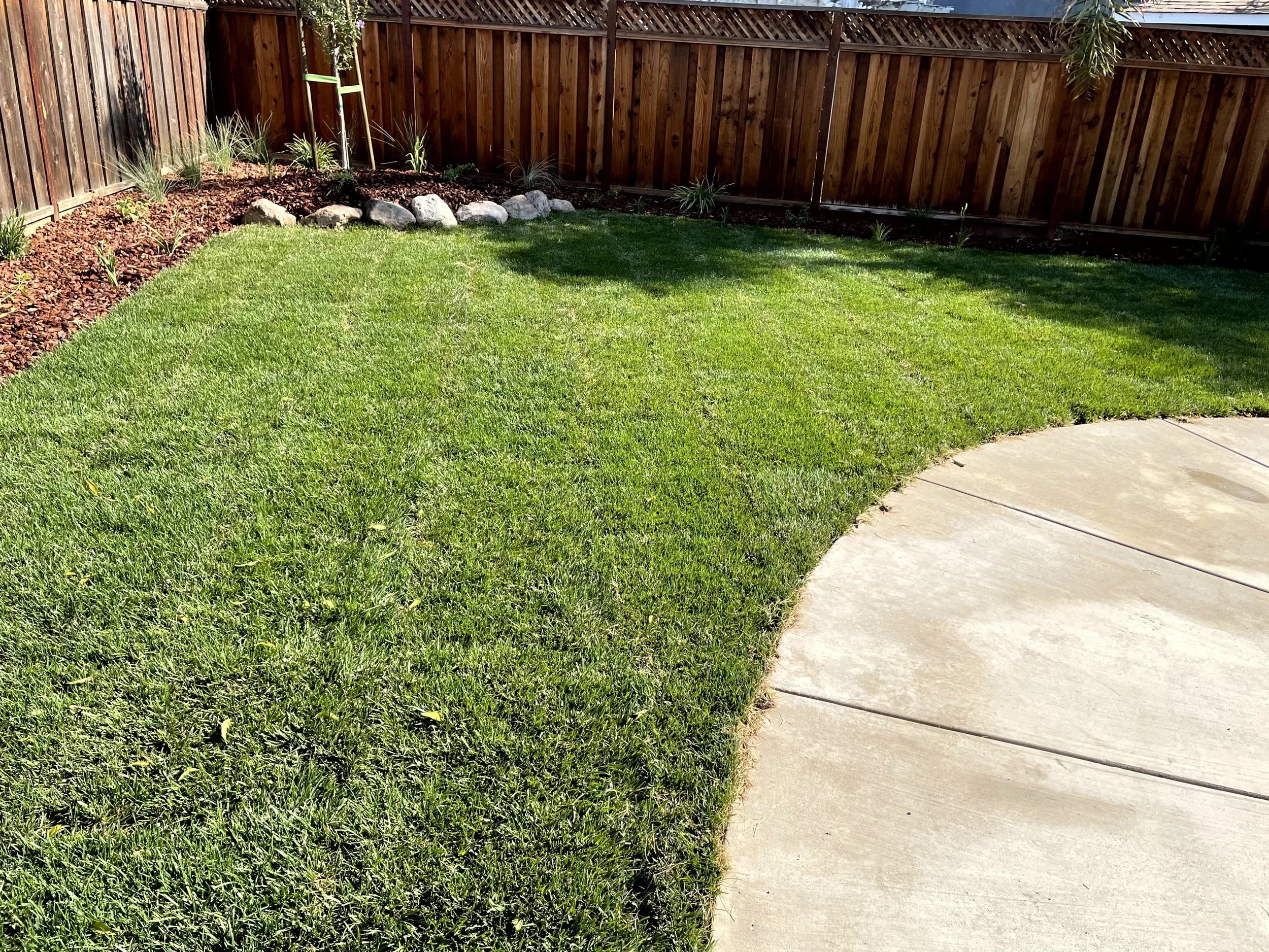 A backyard with a curved concrete patio, a well-maintained green lawn, a wooden fence, and a landscaped flower bed with small plants and rocks.