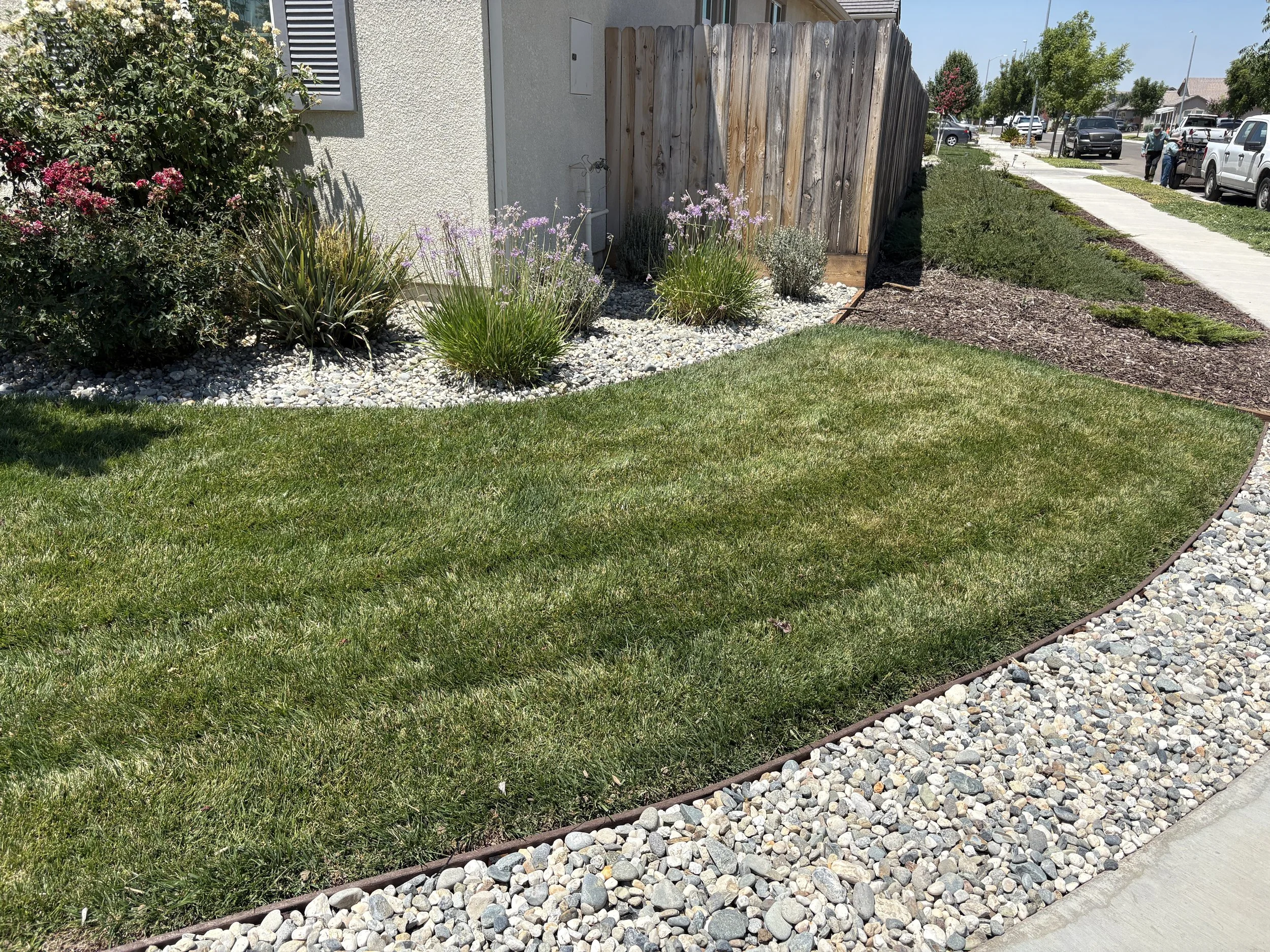 A well-maintained front yard with green grass, decorative rocks, and a garden with flowering plants and shrubs next to a house with a wooden fence and sidewalk.