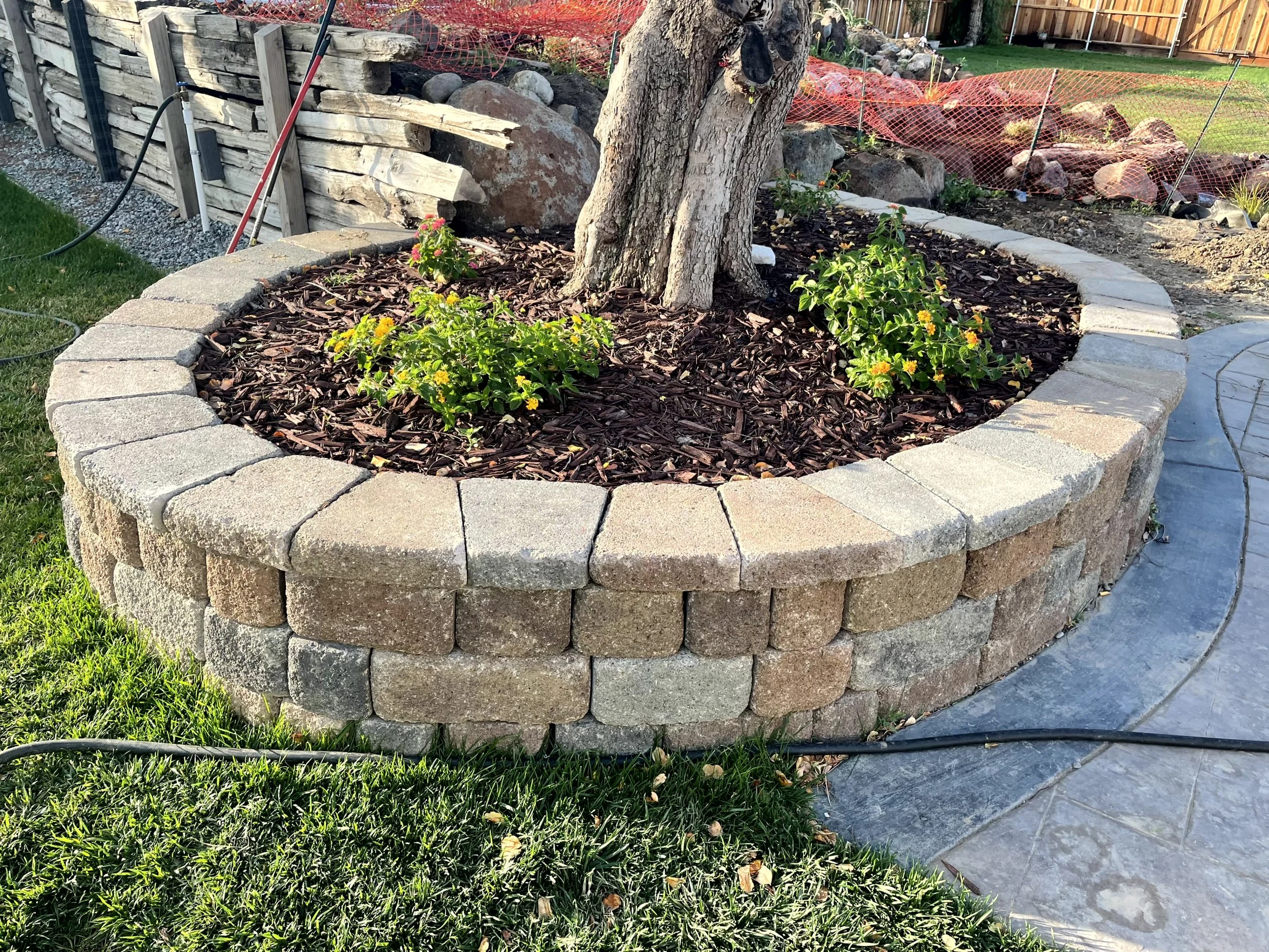A circular raised garden bed made of gray and brown bricks, with a mature tree in the center and several yellow and pink flowering plants around it, situated next to a grassy lawn and a stone walkway.