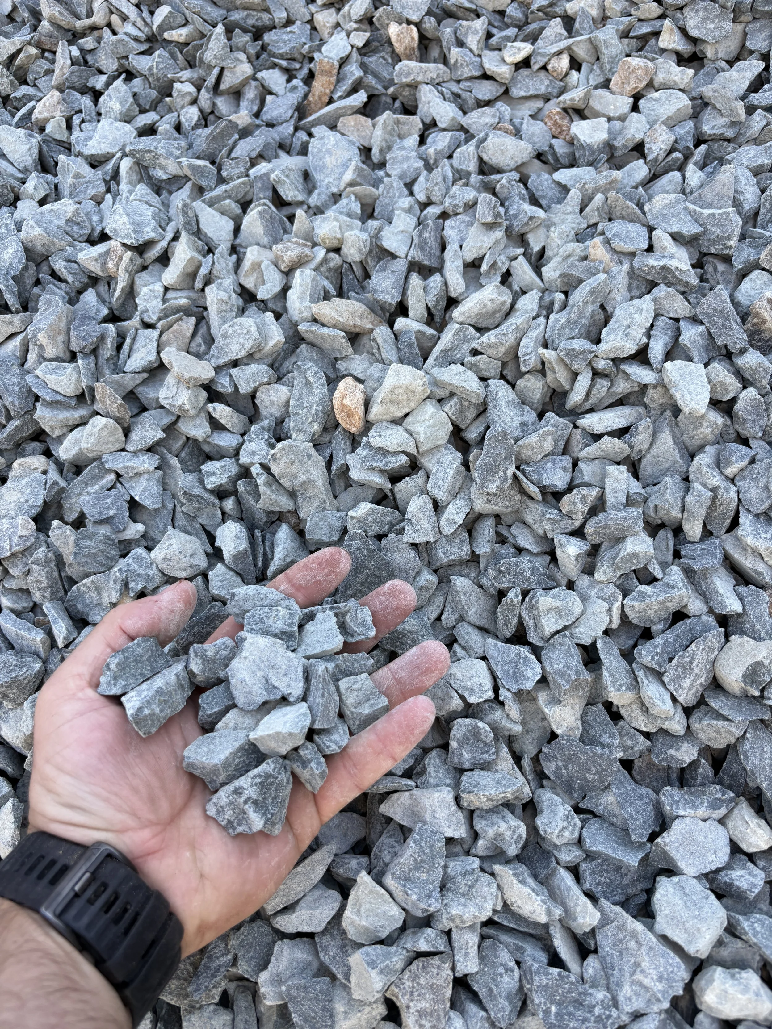 A person's hand holding gray gravel stones, with many more gravel stones spread out on the ground.