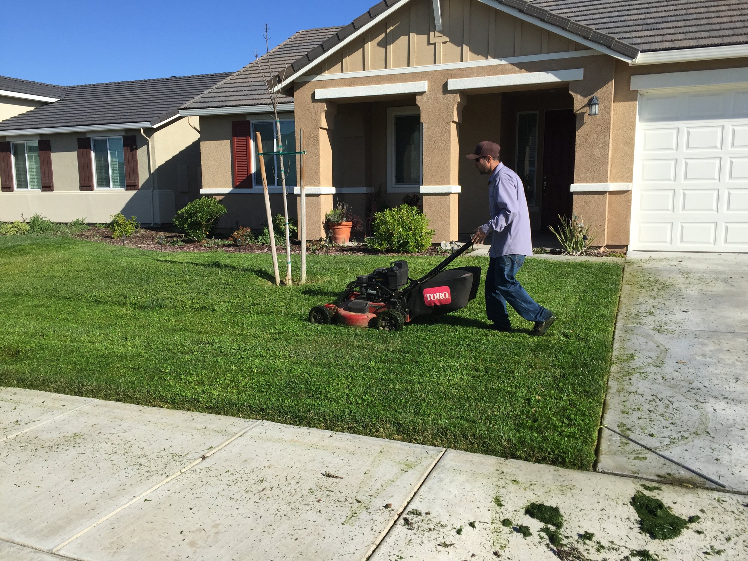 Man mowing front lawn with a Toro lawnmower in front of suburban house.