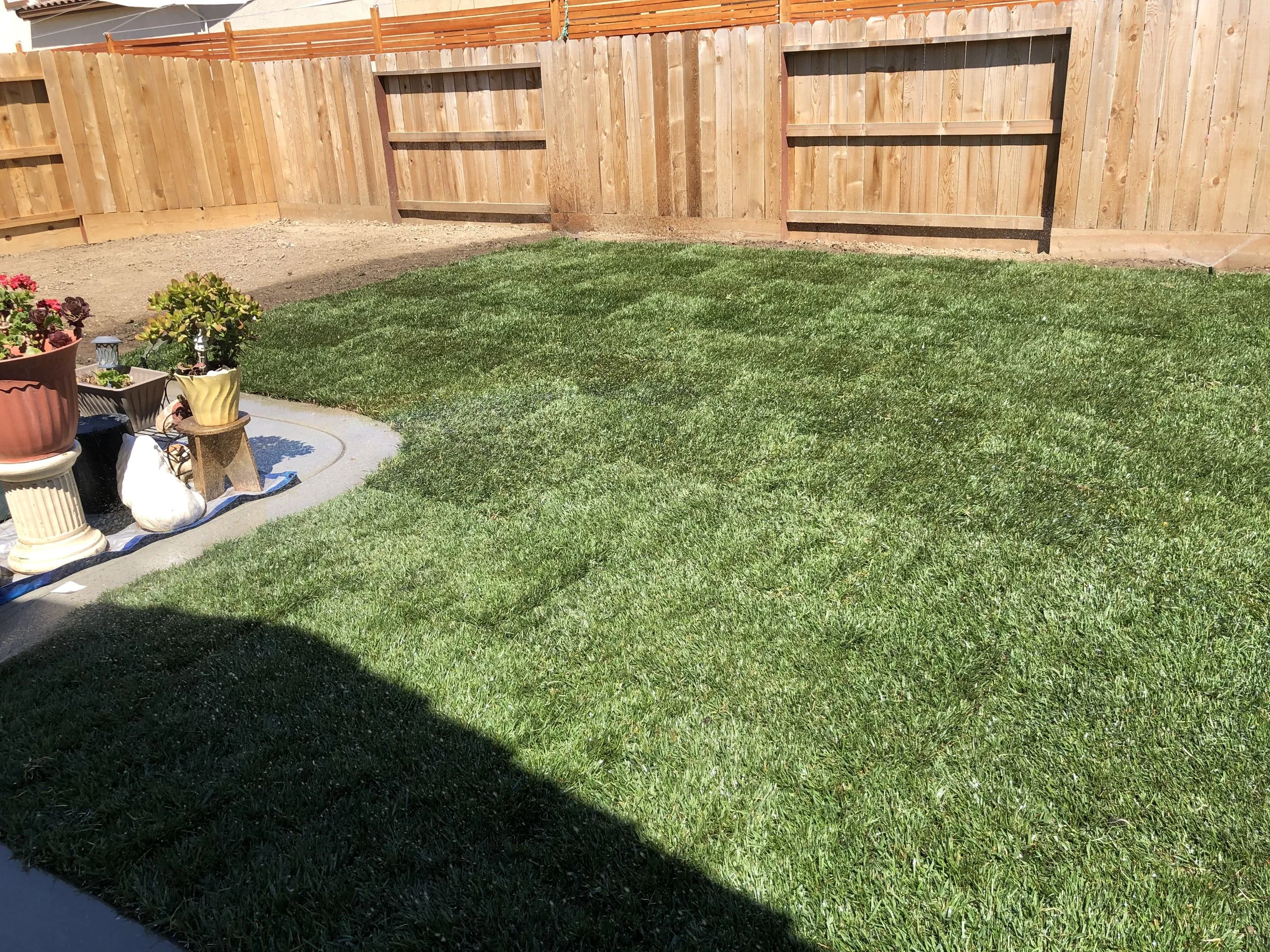 A backyard with a freshly mowed lawn, a wooden fence, and a small area with potted plants and garden decorations.