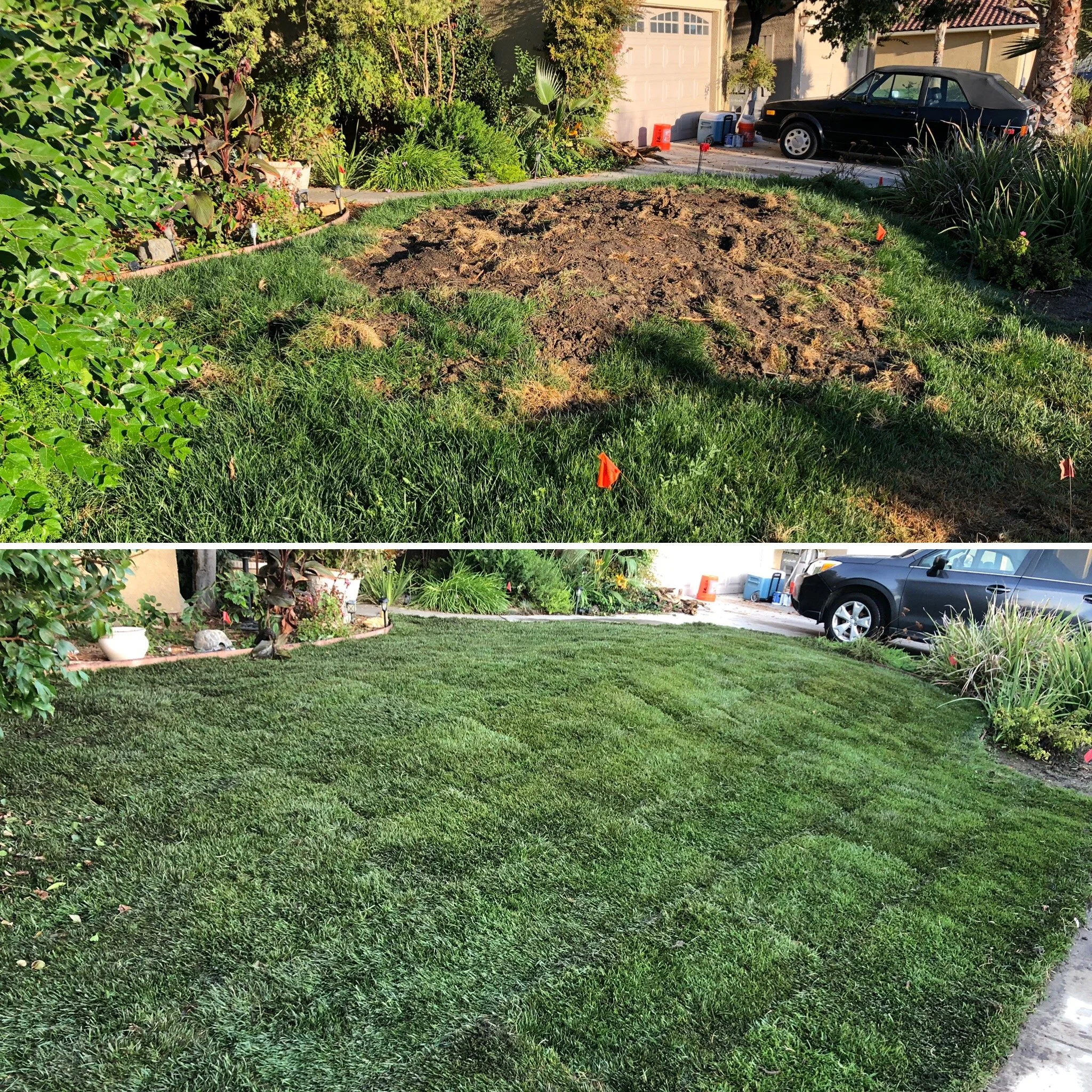 Comparison of a lawn before and after being freshly sodded with green grass.