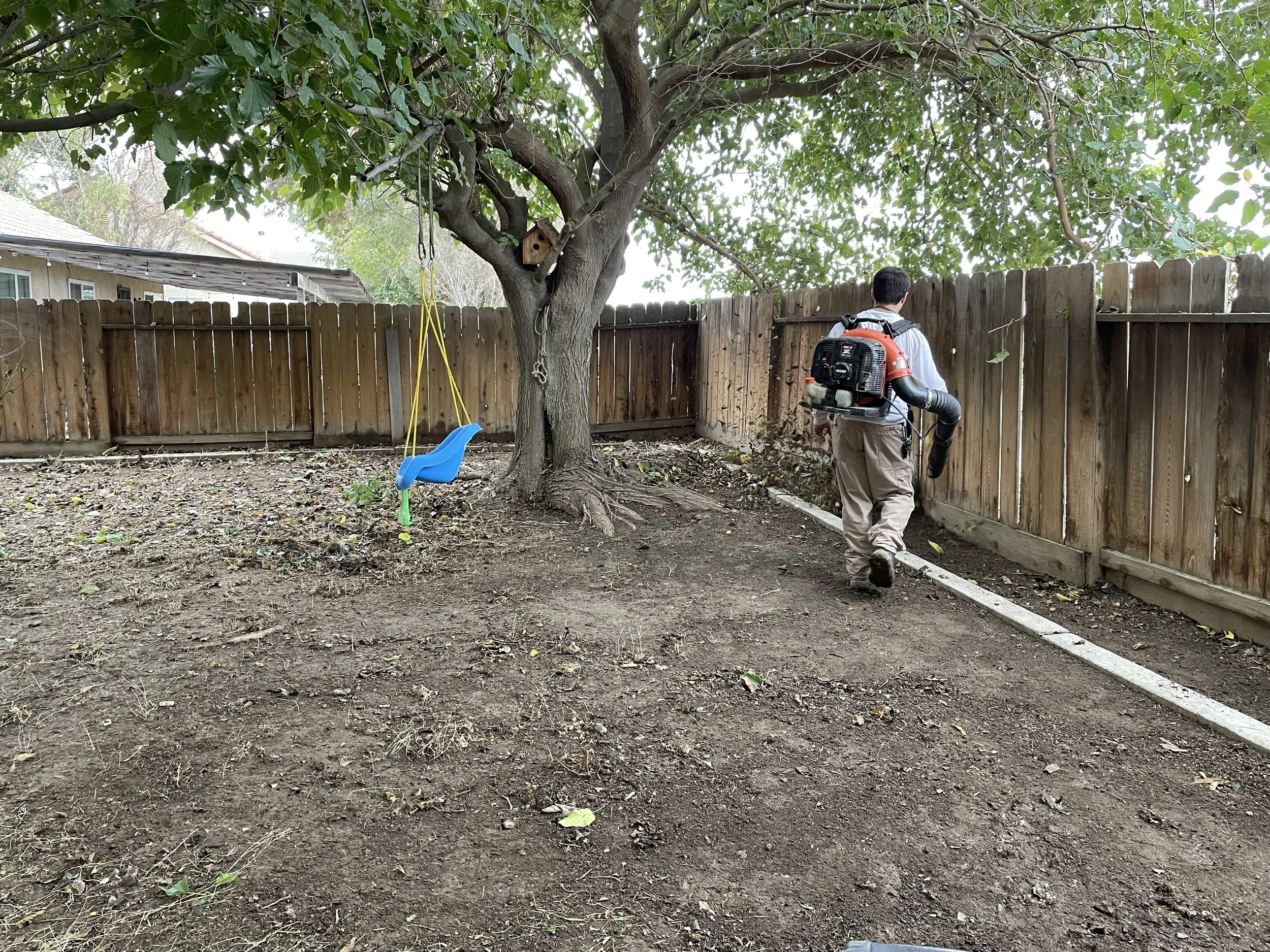 A man wearing a backpack leaf blower is walking along a newly laid concrete border in a backyard. There's a wooden fence, a tree with a birdhouse, and a blue swing hanging from the tree.