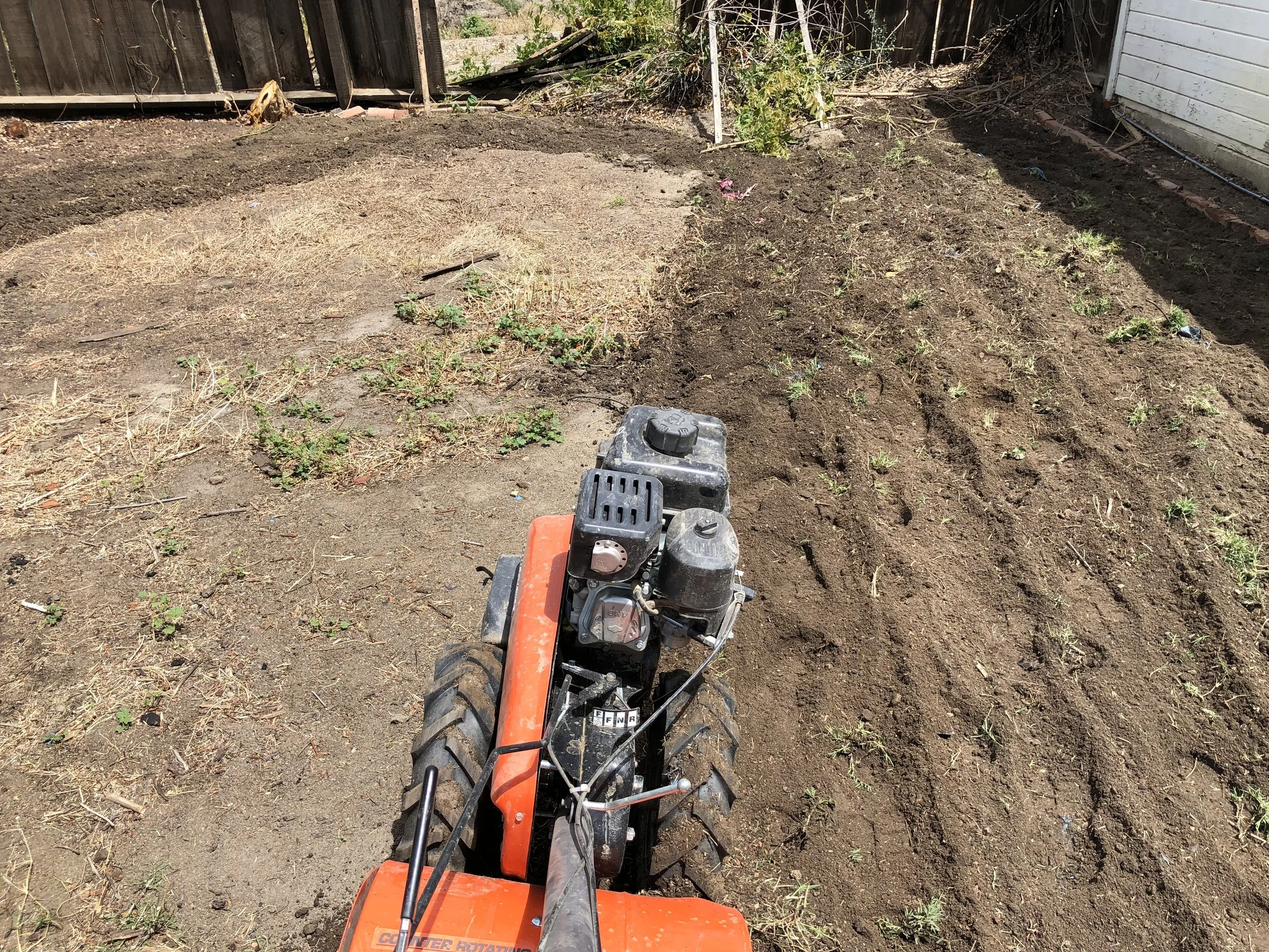 A yard with sections of freshly tilled soil, some patches of dry grass, and small green weeds, with a small orange tiller in the foreground. The background shows a wooden fence and a white building.