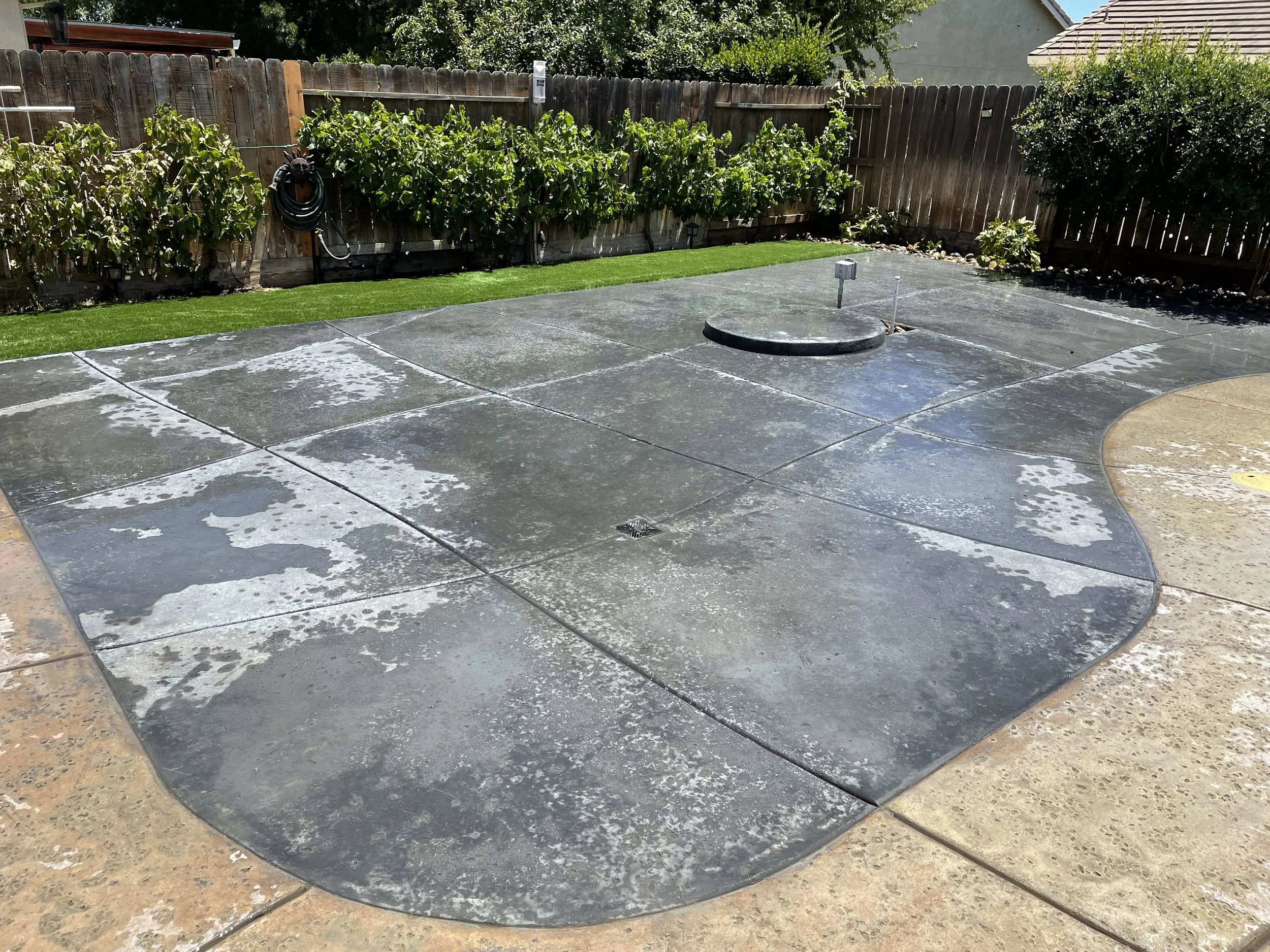 Clean, wet concrete patio with a circular cover and a small drainage grate, surrounded by a wooden fence, green bushes, and a patch of artificial grass.