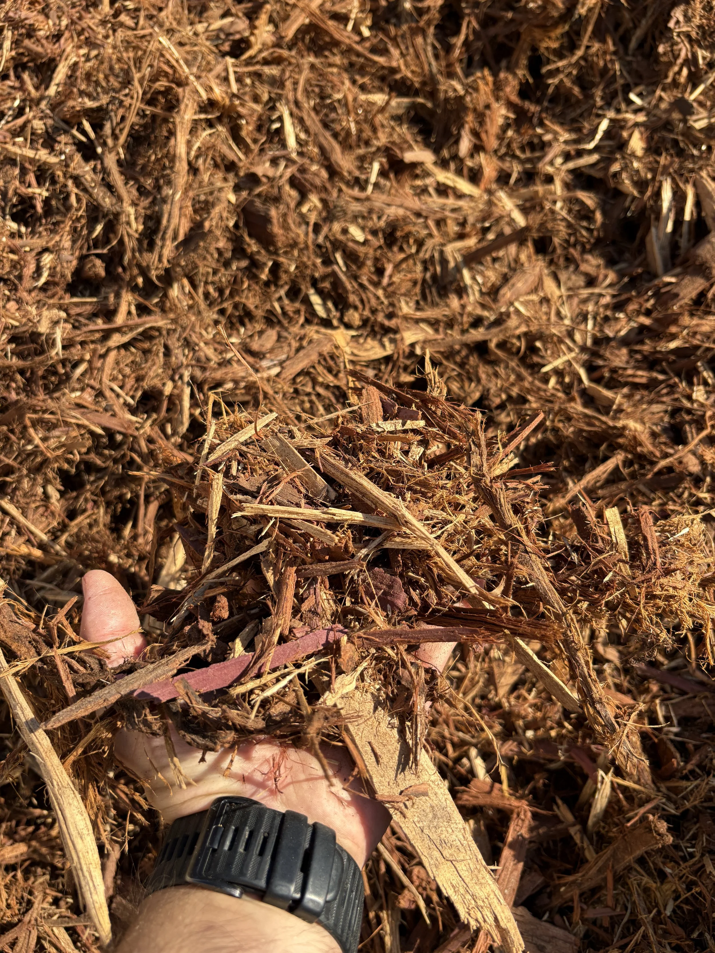 A person's hand holding a handful of brown mulch or wood chips, with more mulch or wood chips spread out in the background.