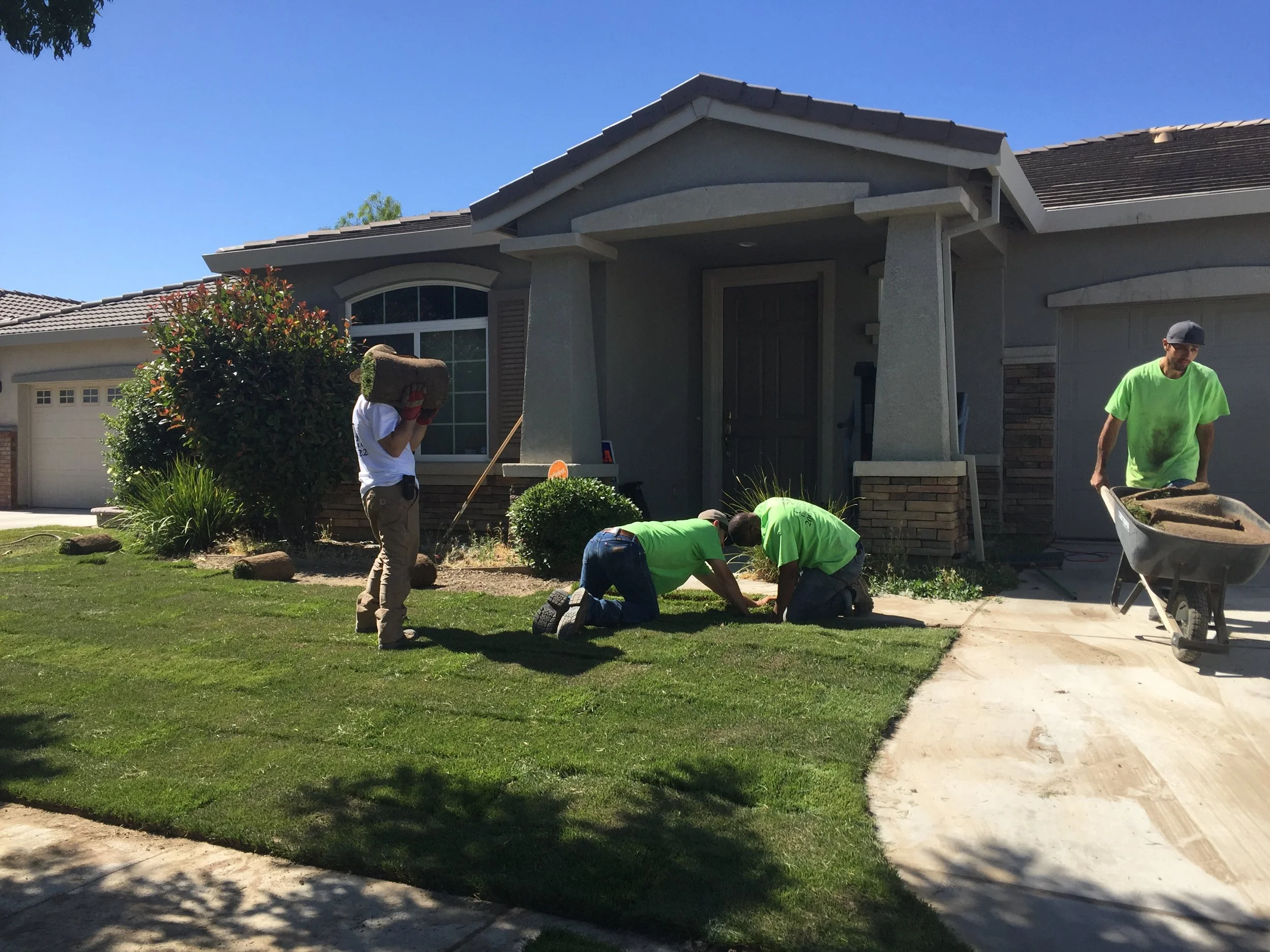 Workers planting grass in front yard of a house on a sunny day.