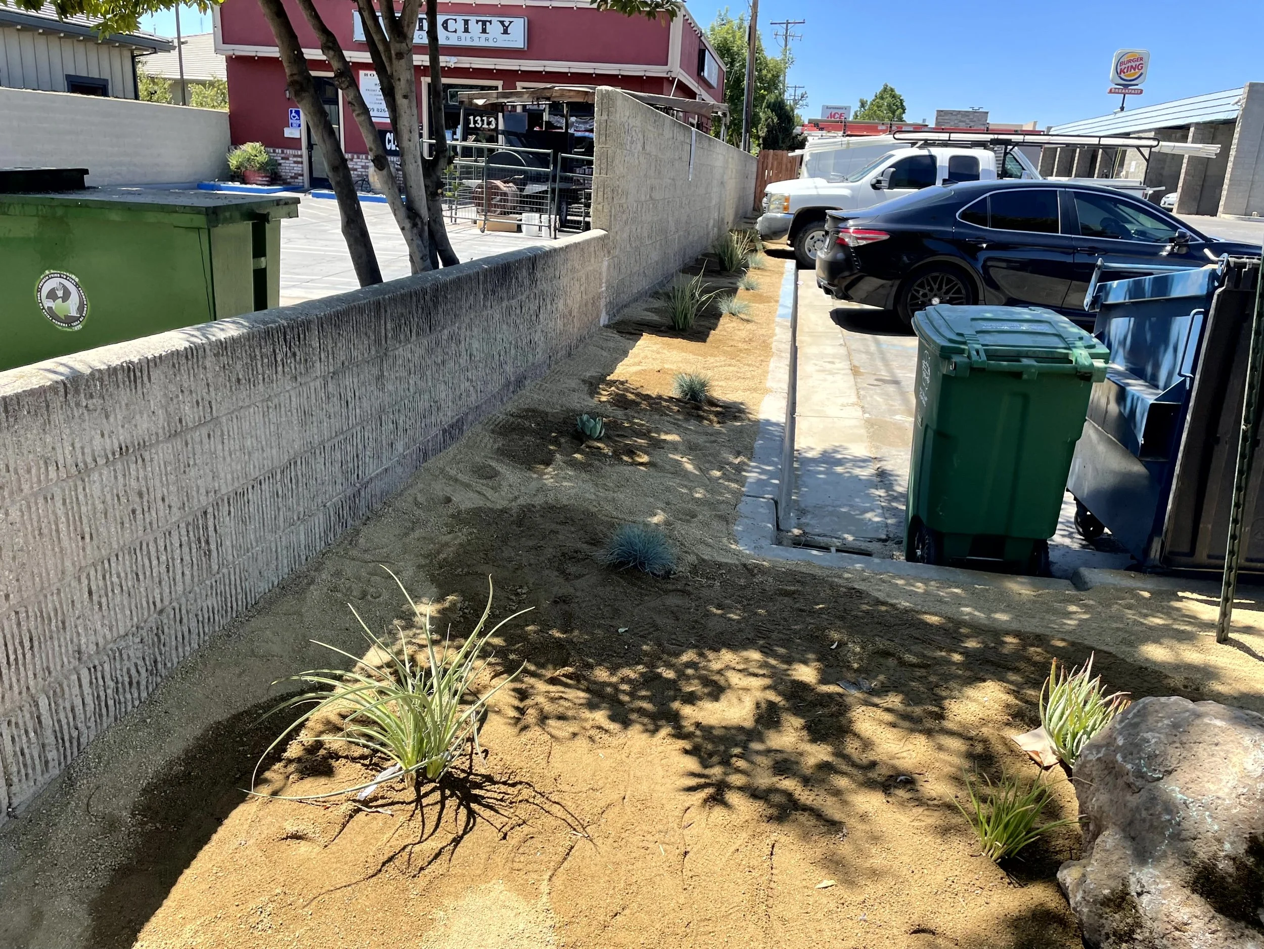 A sidewalk and garden area with newly planted desert plants, a concrete block wall, parked cars, and a storefront in the background.
