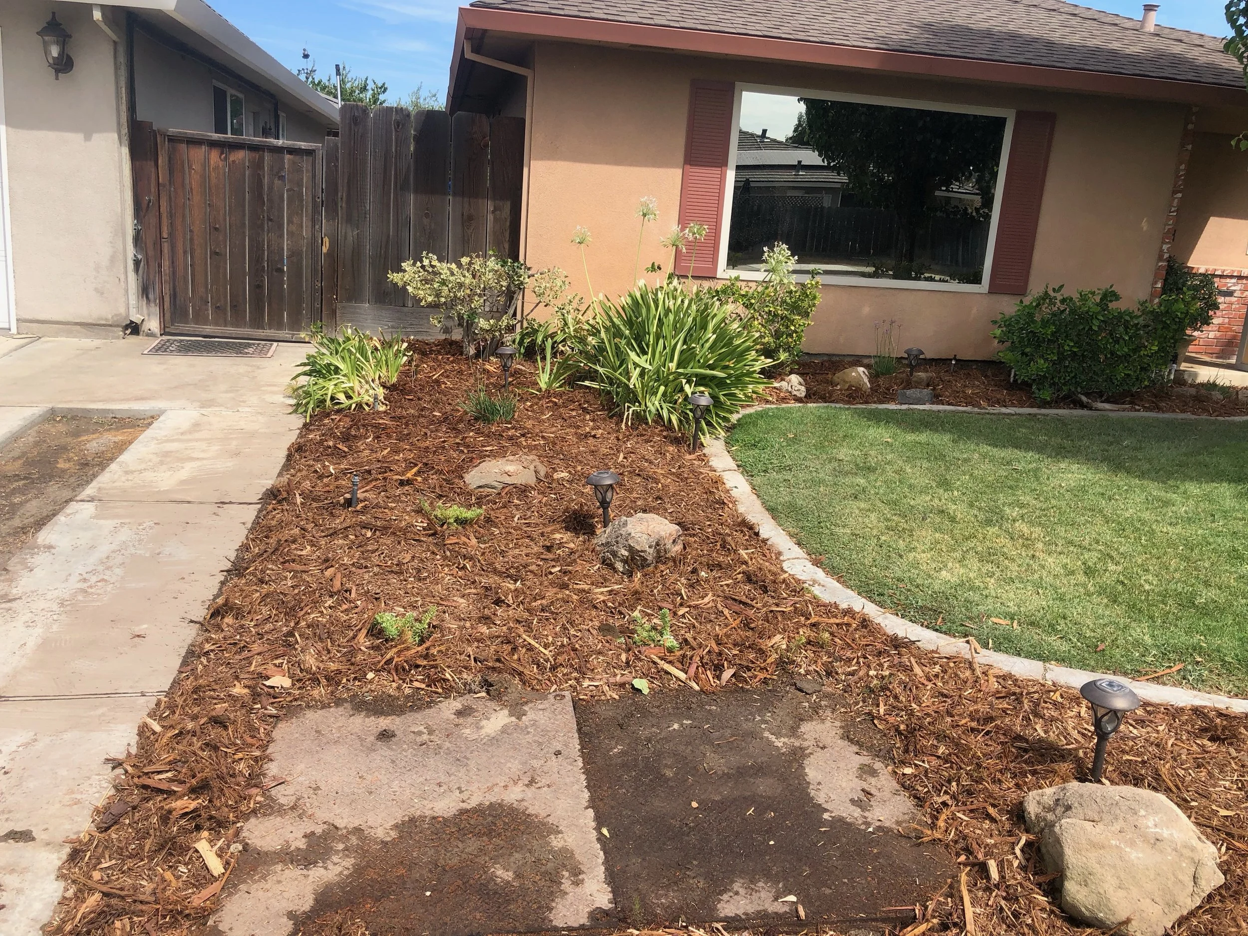 A landscaped front yard with a small pathway, mulched flower beds, young plants, solar lights, a lawn, and a single-story house with a large window.
